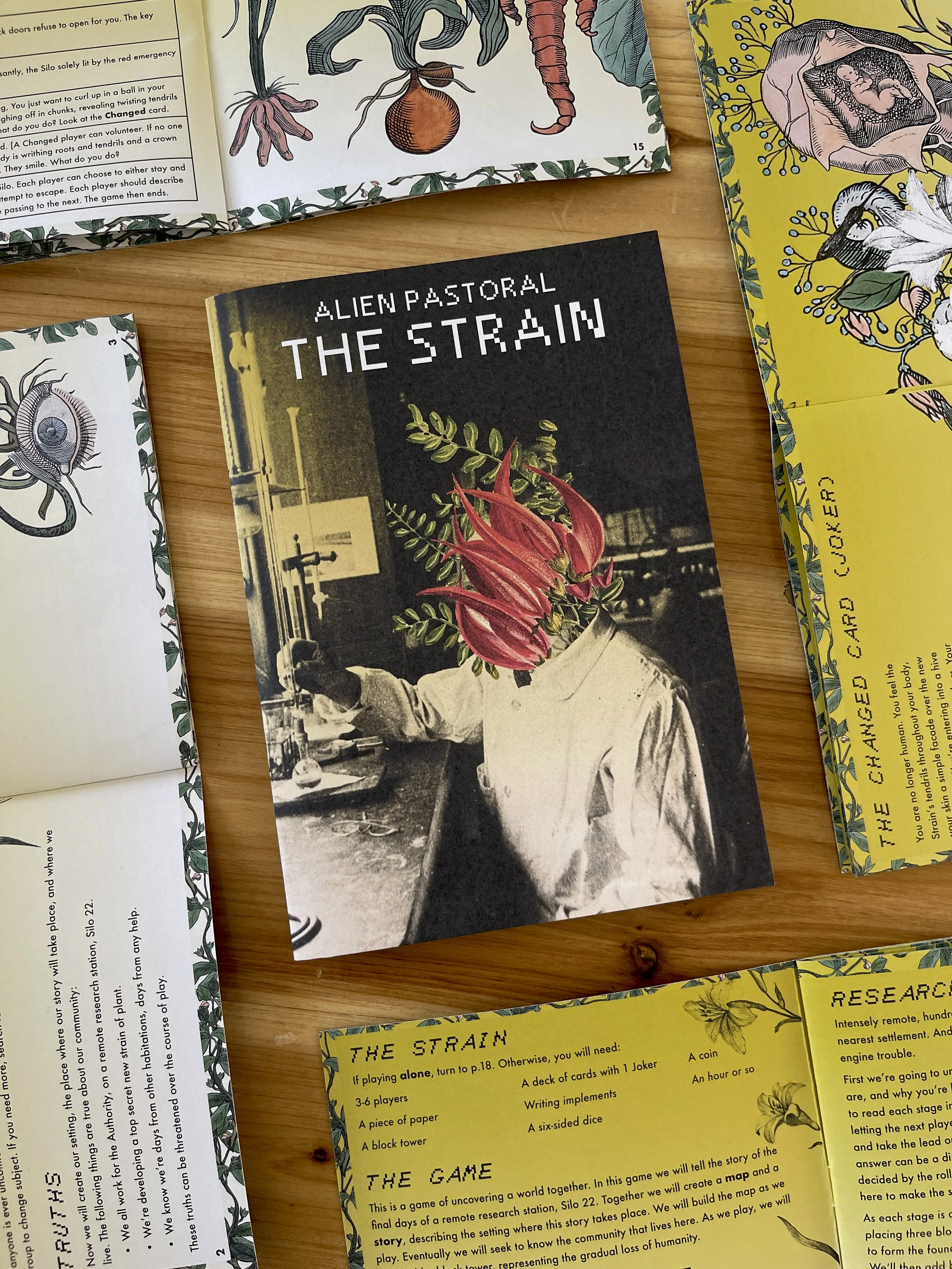 Alien+Pastoral-The Strain_David+Blandy_2024_Commissioned_by_Serperpentine+Gallery_London_UK.jpg