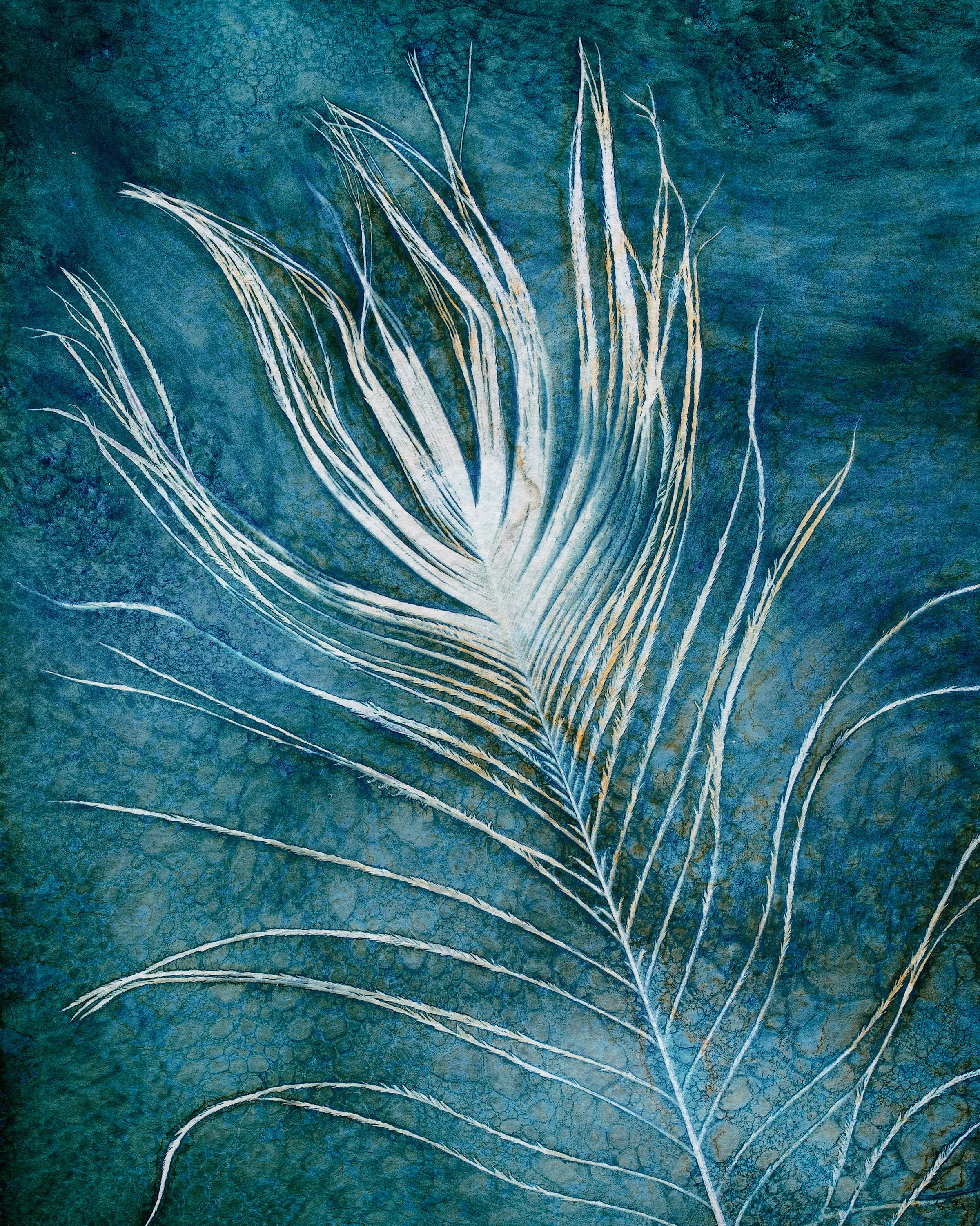 Feather Series 1