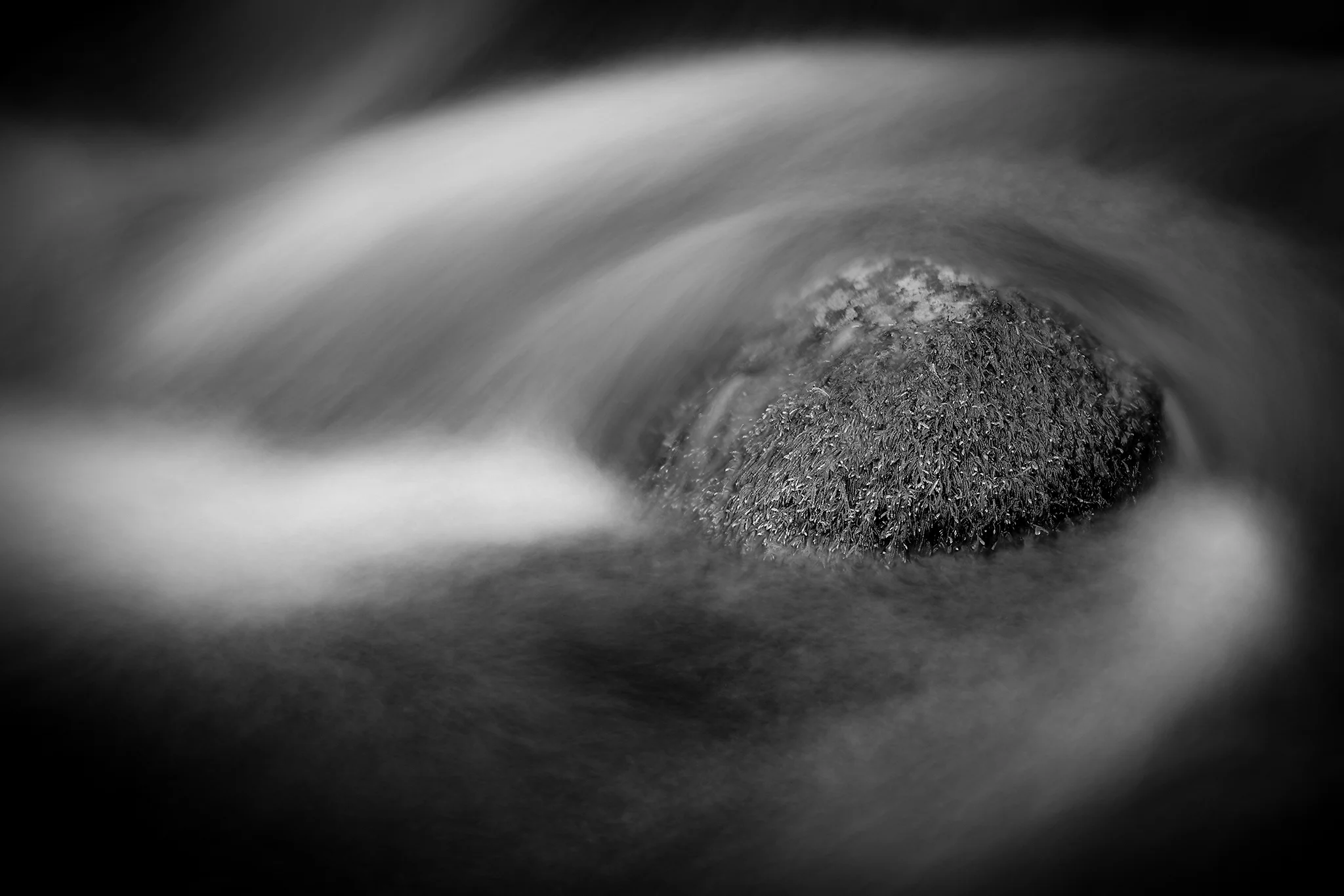 Mossy River Rock