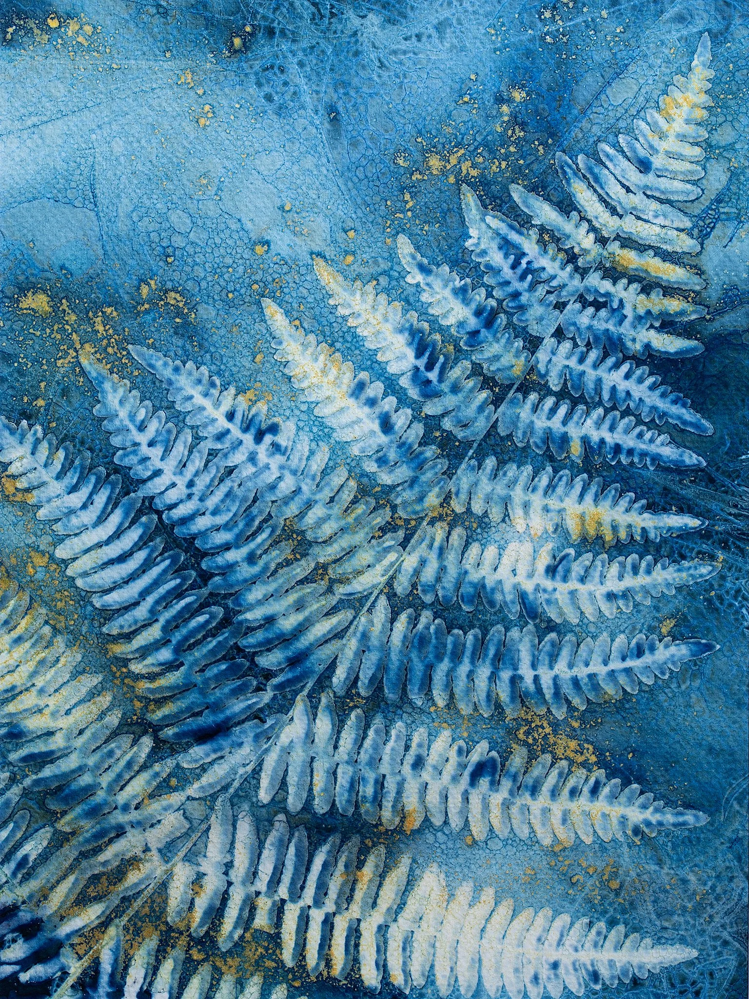 Sword Fern