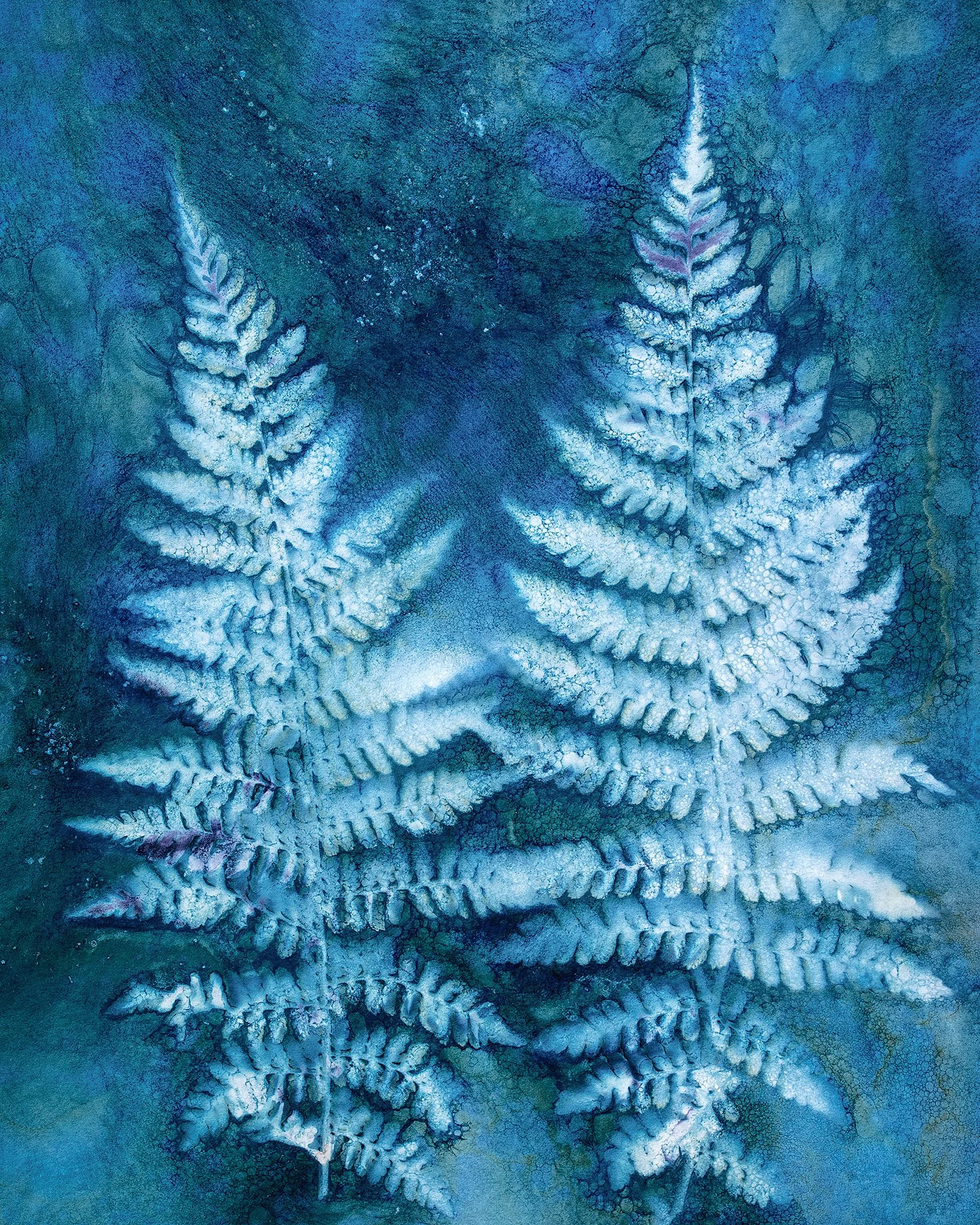 Fern Duo
