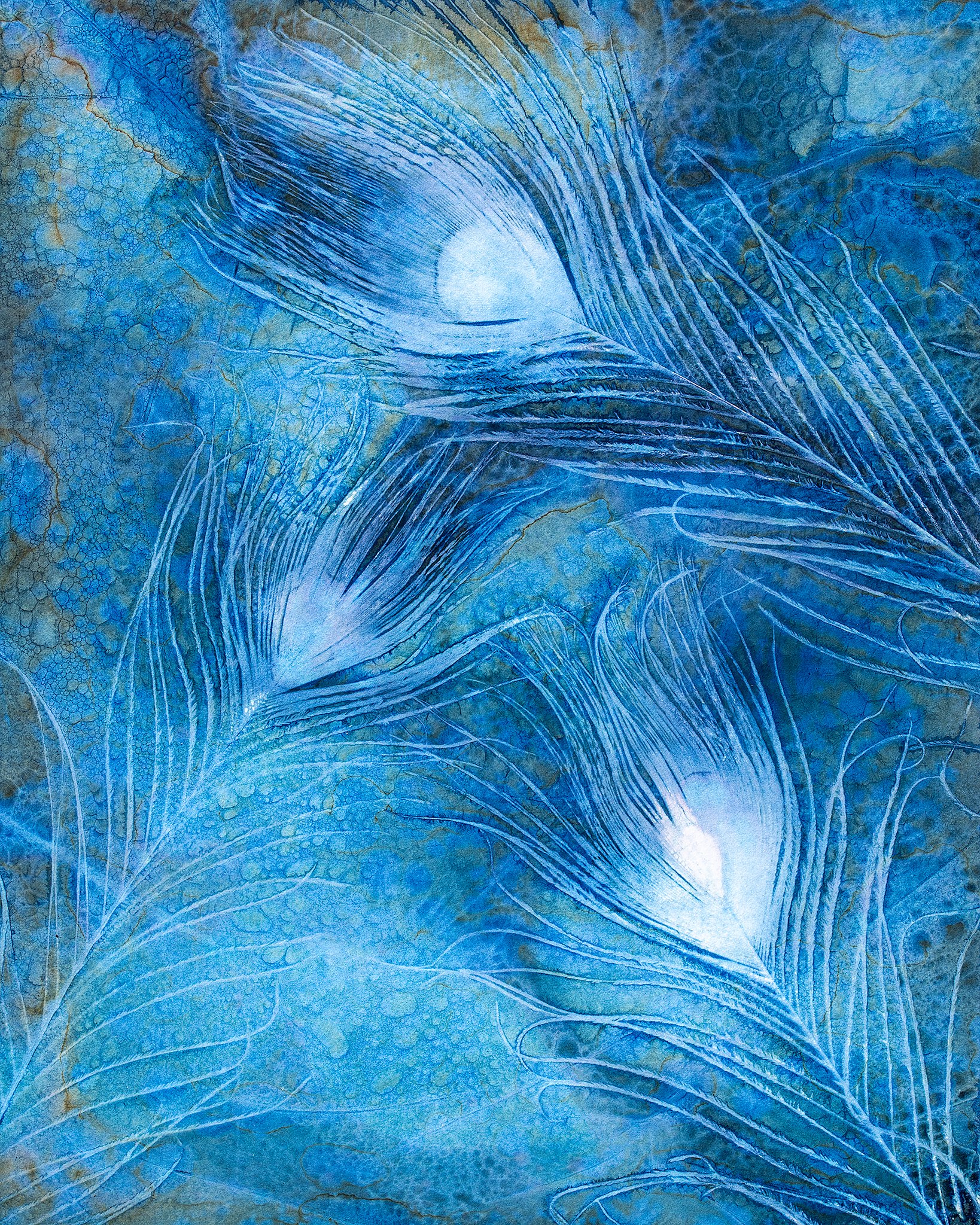 Feather Series 4
