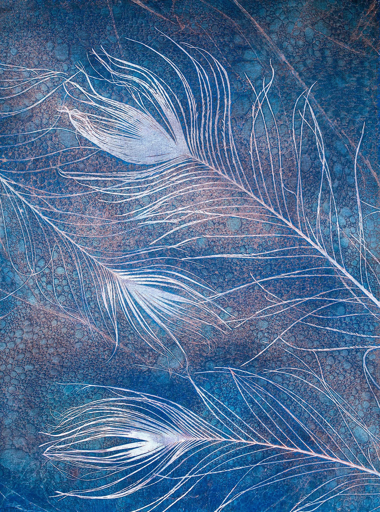 Feather Series 2