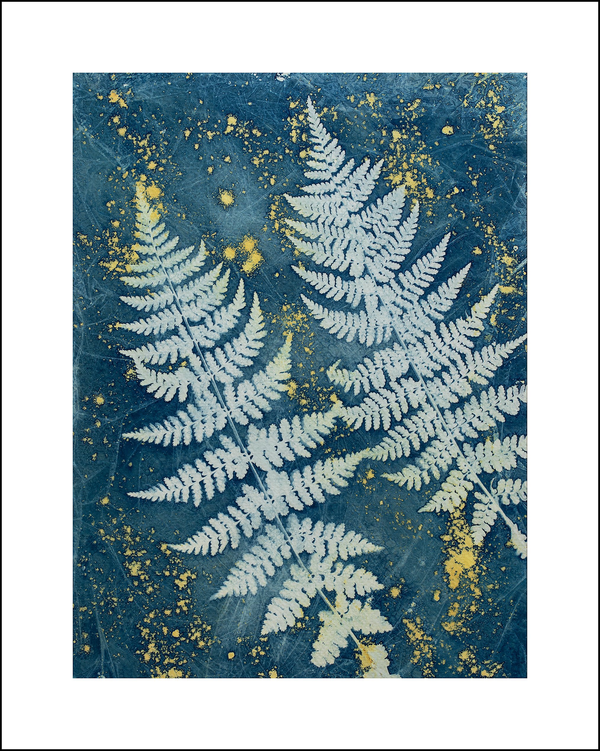 CT Two Ferns Vincent Sell.jpg
