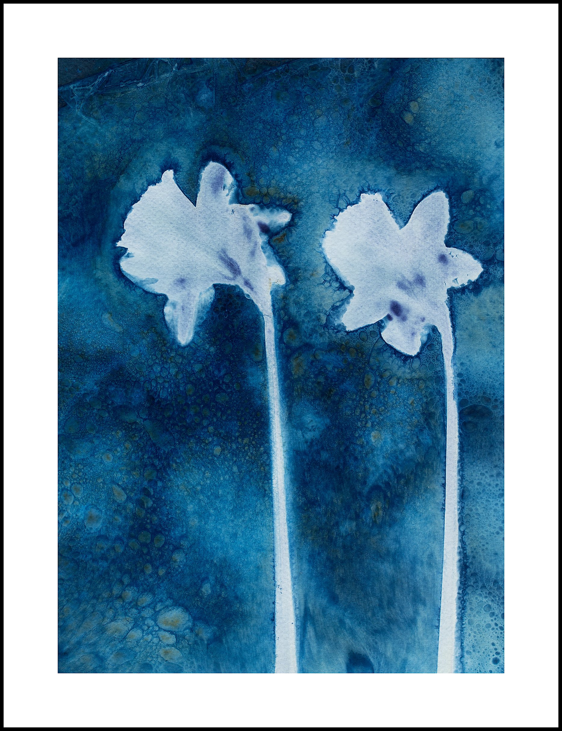 Daffodils 1.jpg
