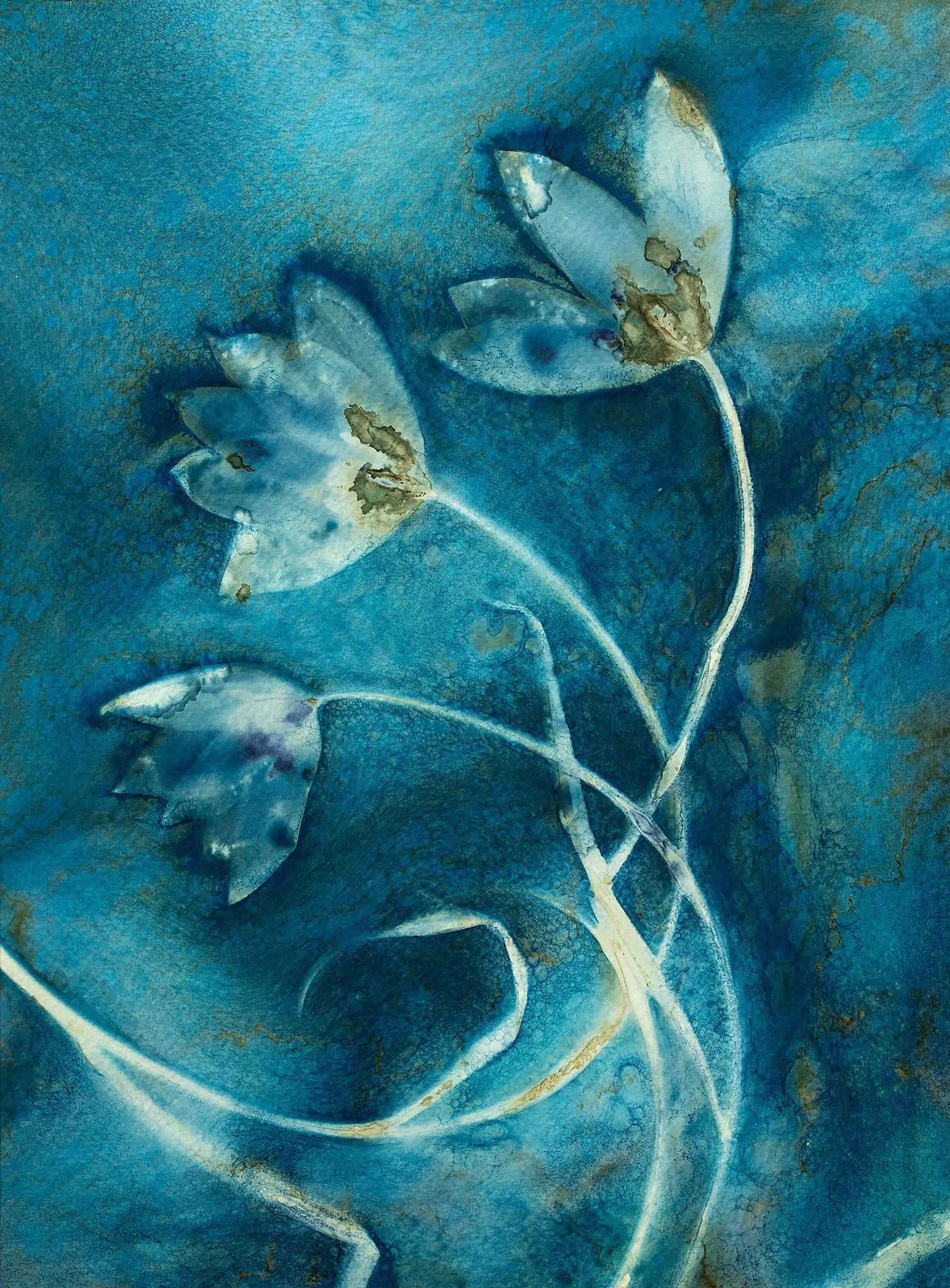 Tulip Trio