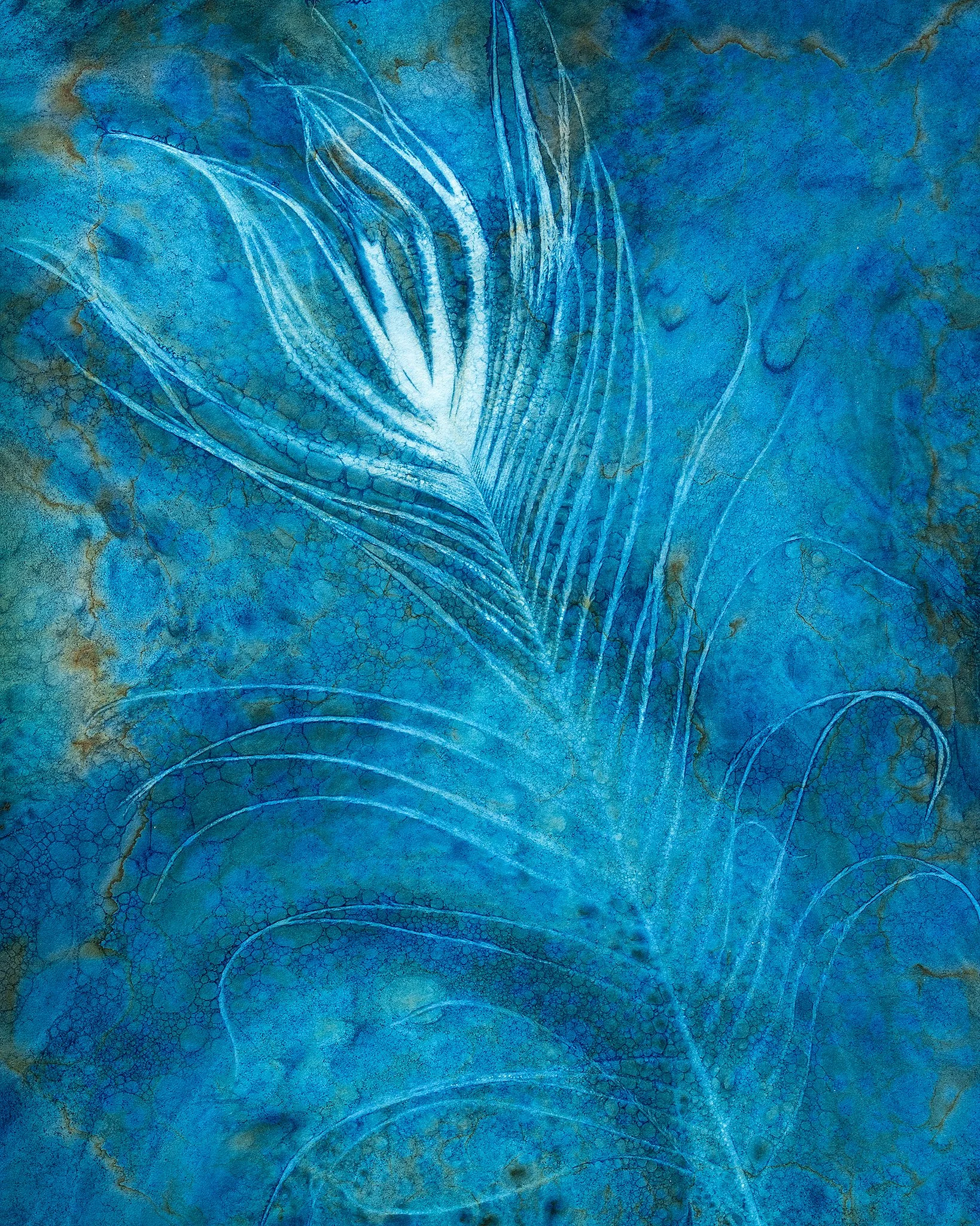 Feather Series 3