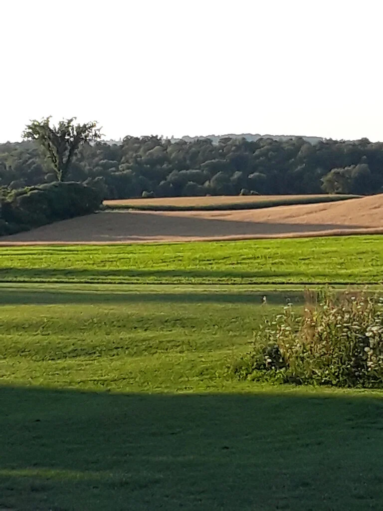 20210804_193923.jpg