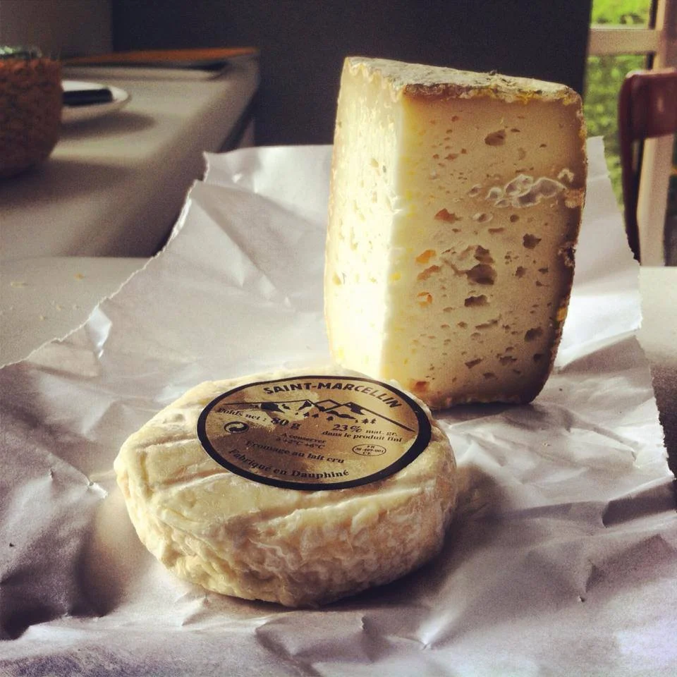 CHEESE — Eclectik Domestic