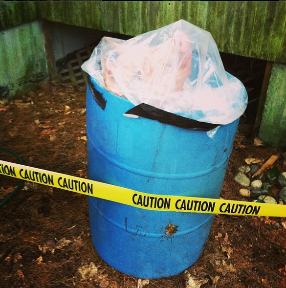  Olivia the Pig Brining in a vinegar barrel&nbsp; 