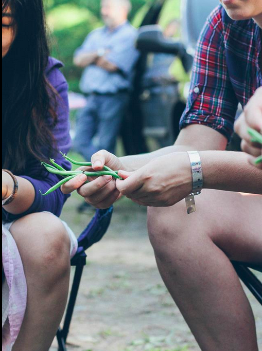 Food Crew snappin dem local Maine Green Beans Photo by Breanne Furlong