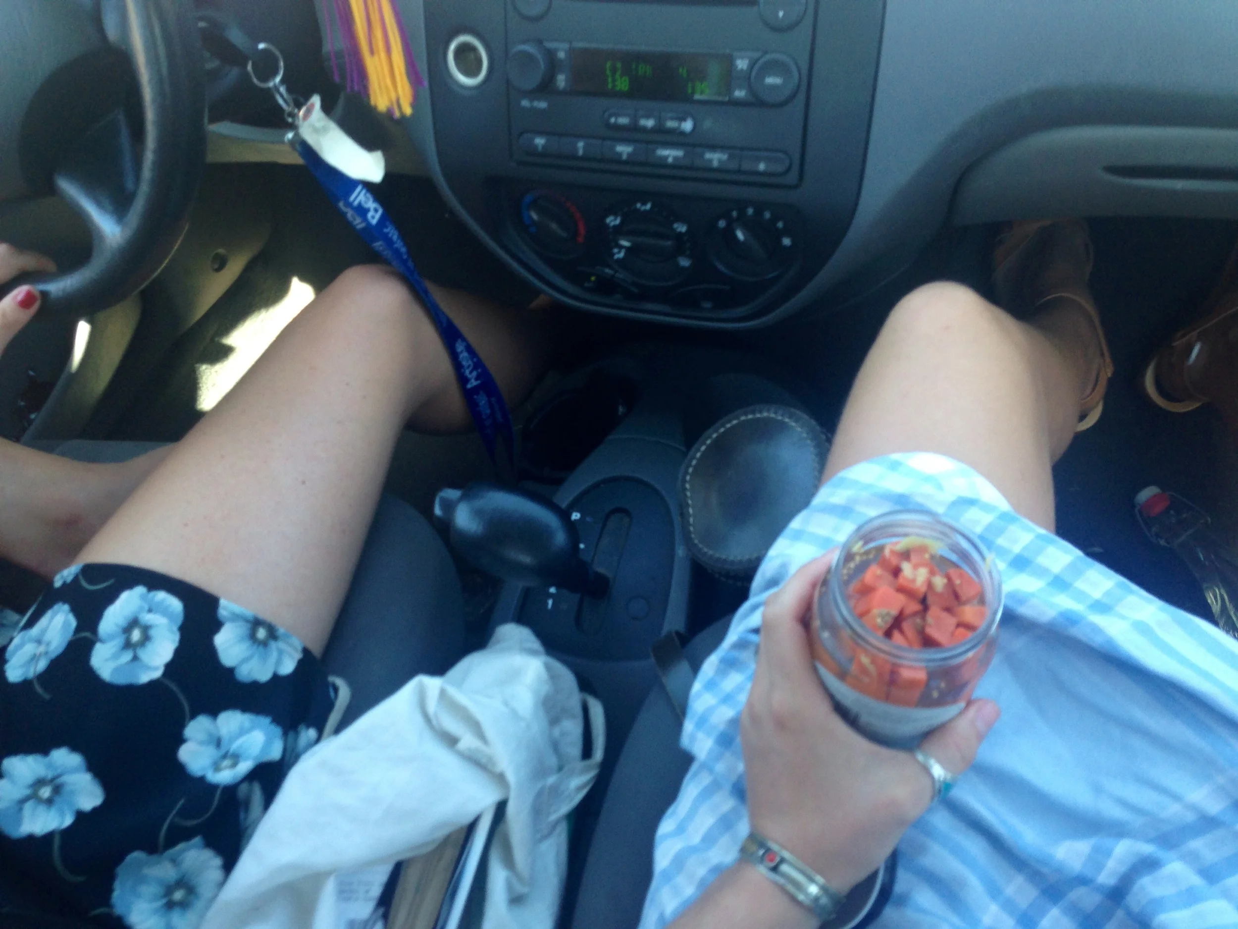 Road snacks- Ginger Pickles 