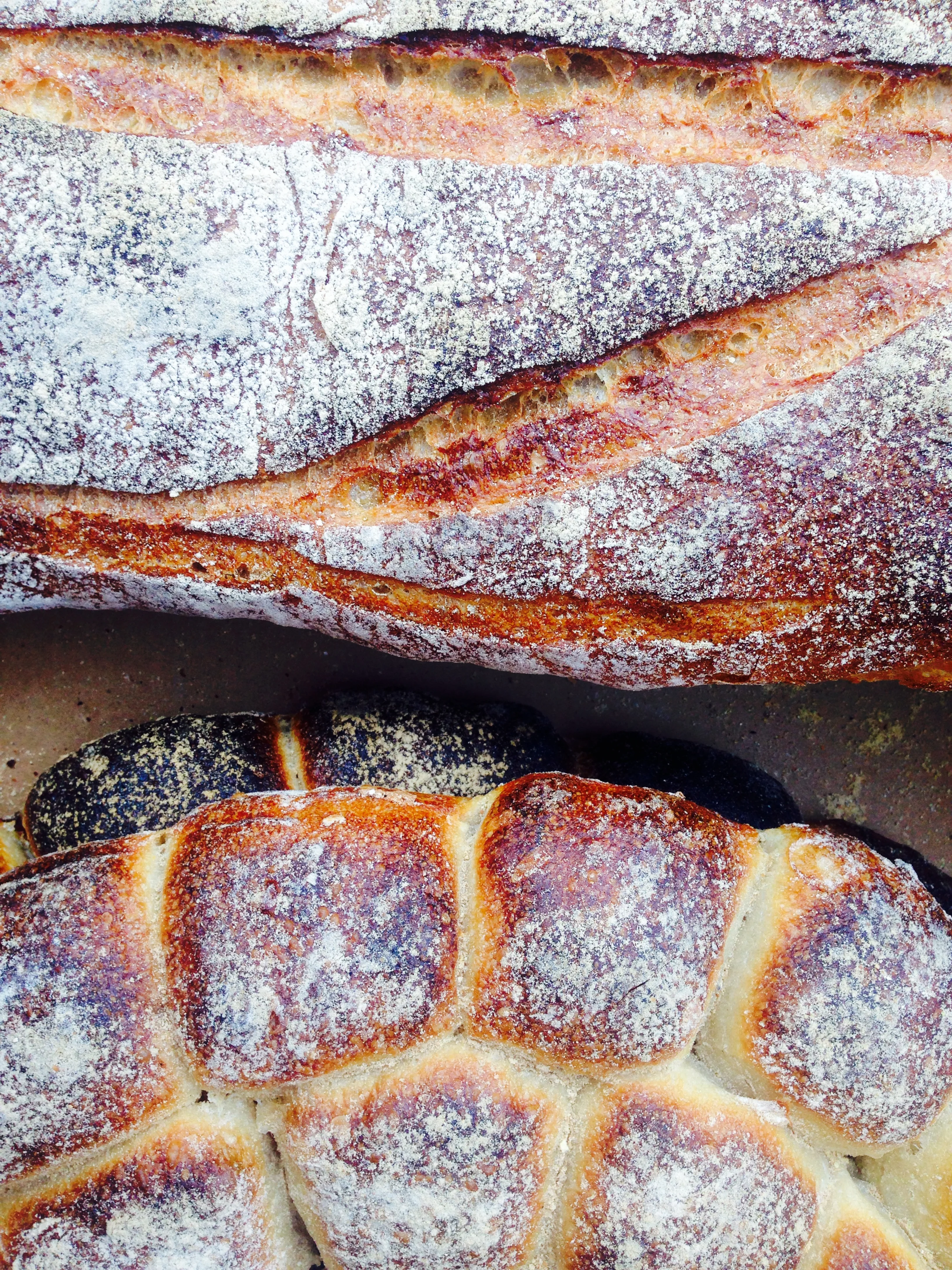 Gorgeous handmade bread in Boston, Massachusetts 