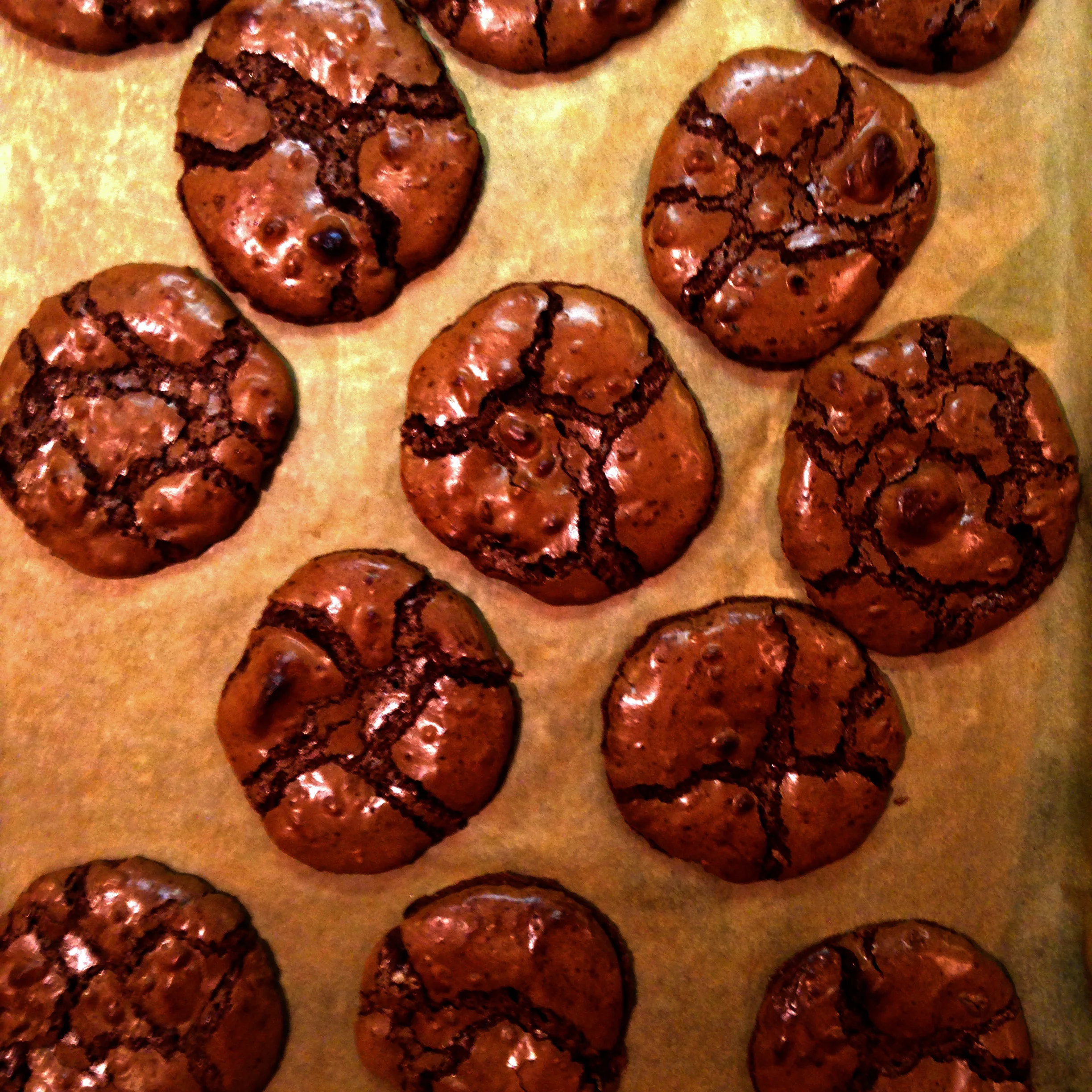 Cocoa Brownie Cookies, deliciously Gluten Free!