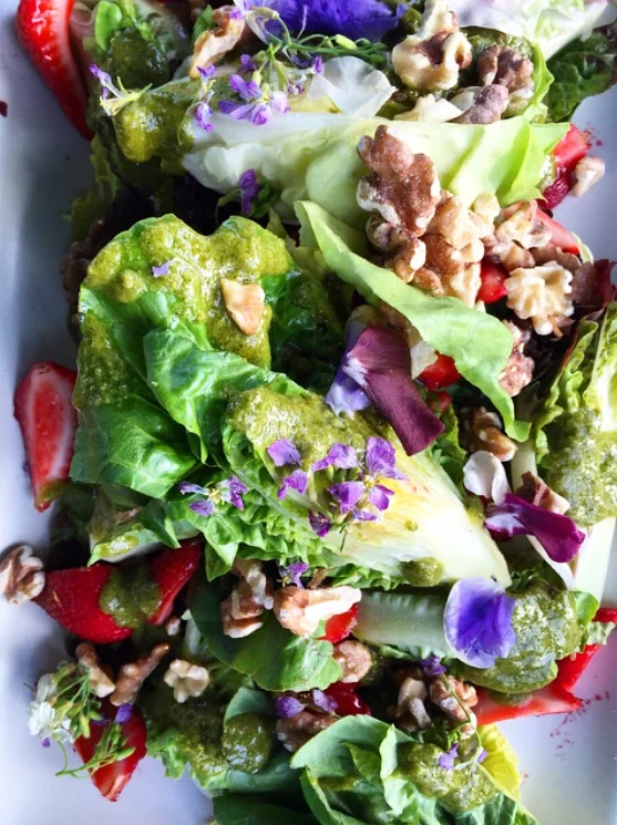 Spring Gem Lettuce + Strawberries + Walnuts & Wildflowers by Chef Robin Song at Front Porch Farms in Healdsburg, California 