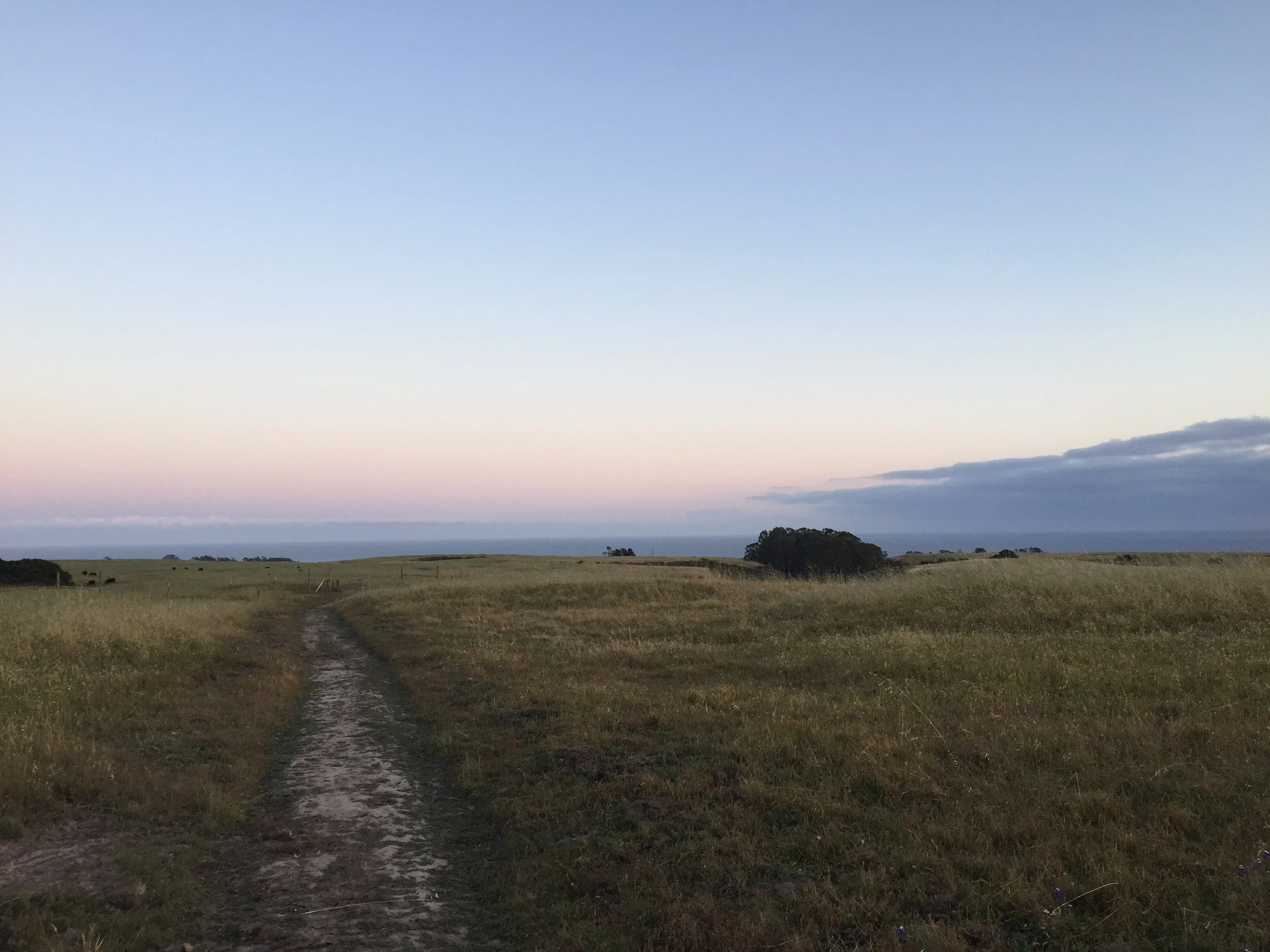 Path to Santa Cruz in The Moore Creek Preserve at dusk