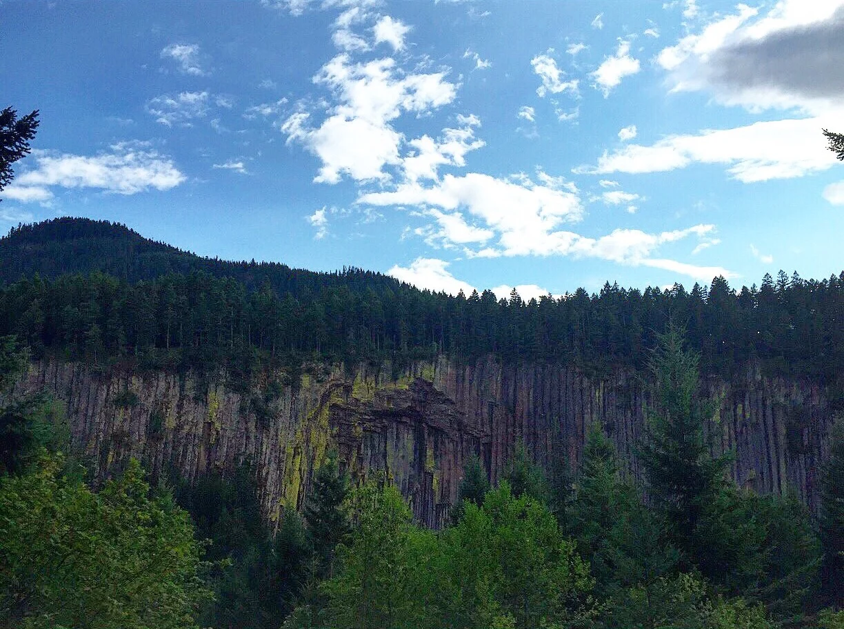 Volcanic Rock in Washington