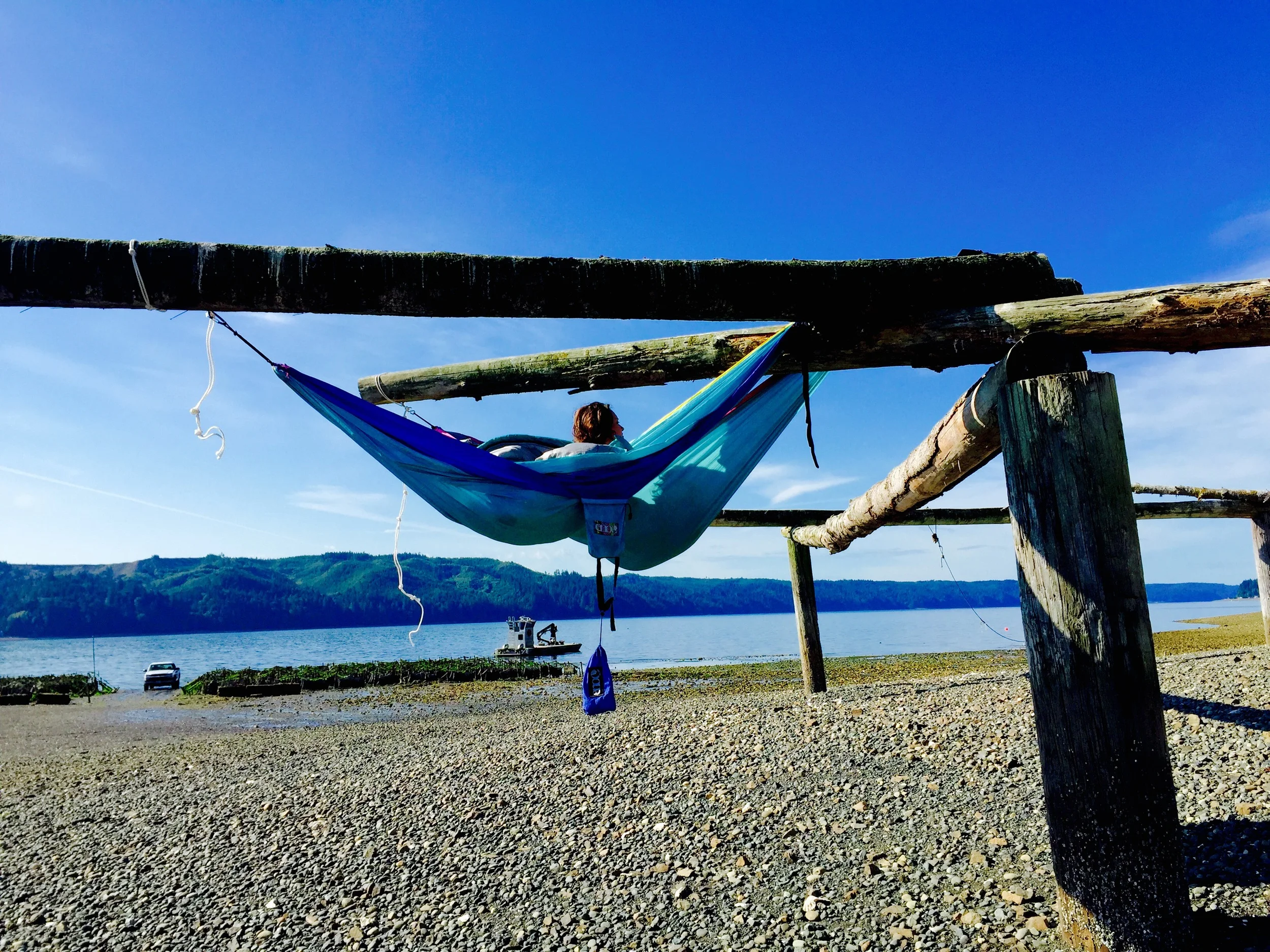Hammocking in the oyster fields at Hama Hama Oysters in Lilliwaup, Washington