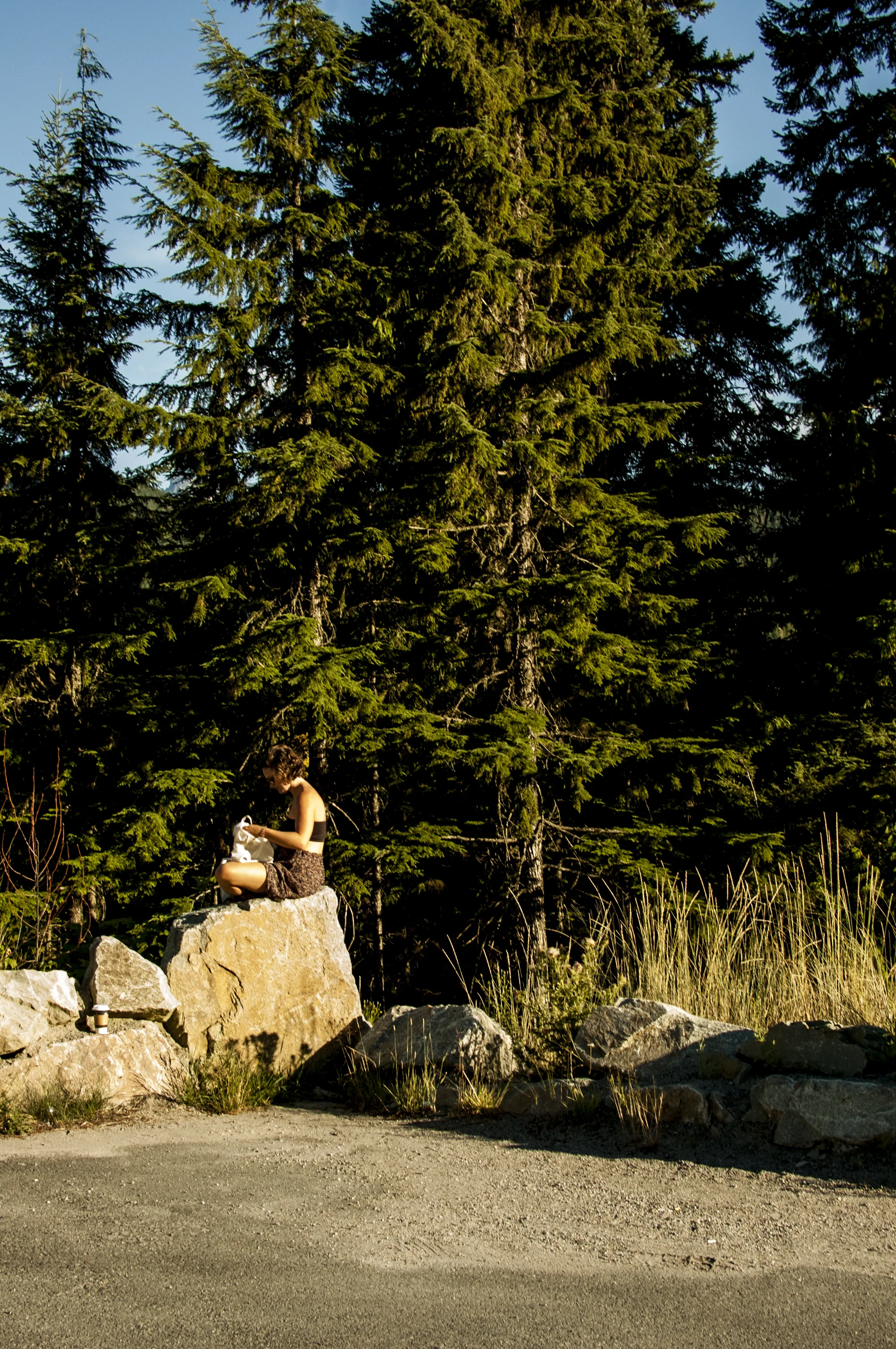 Mediative Marta in BC