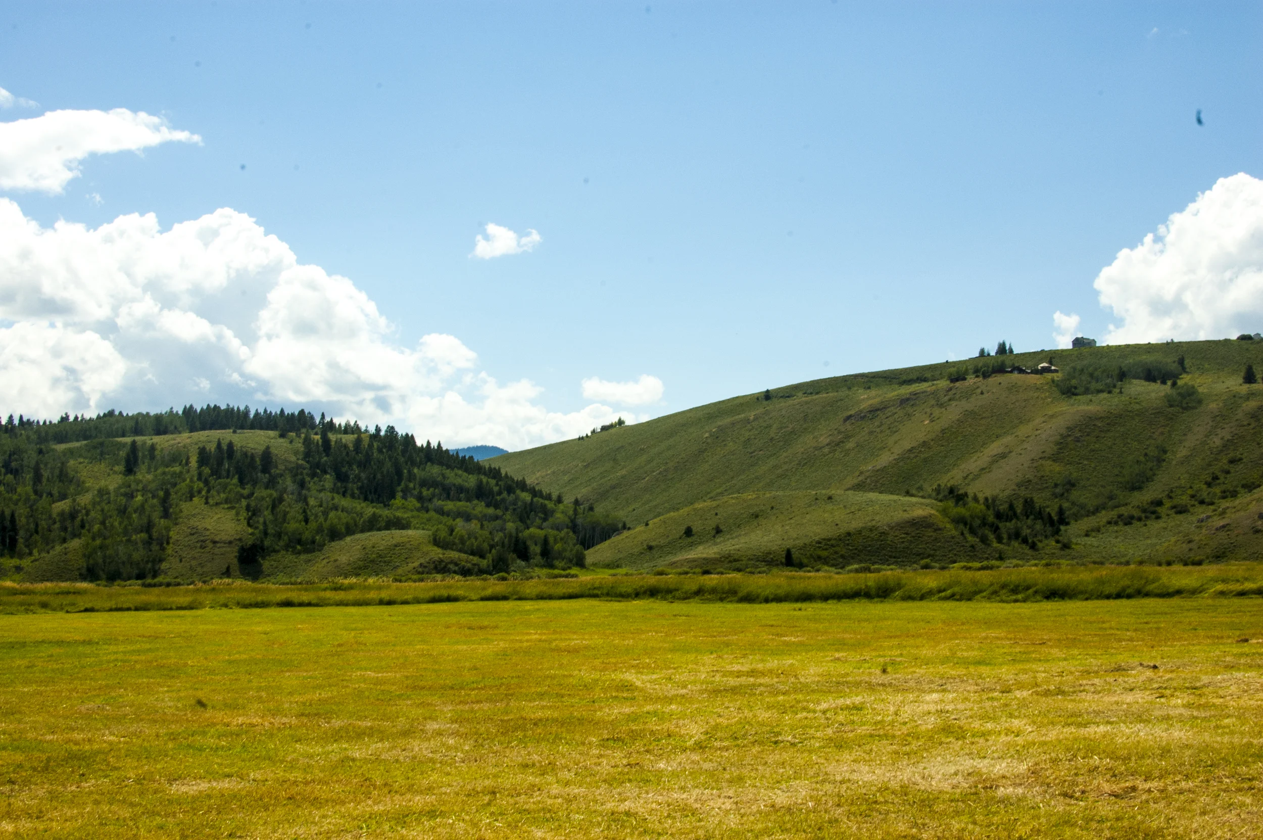 Mead Ranch in Jackson Hole, Wyoming 
