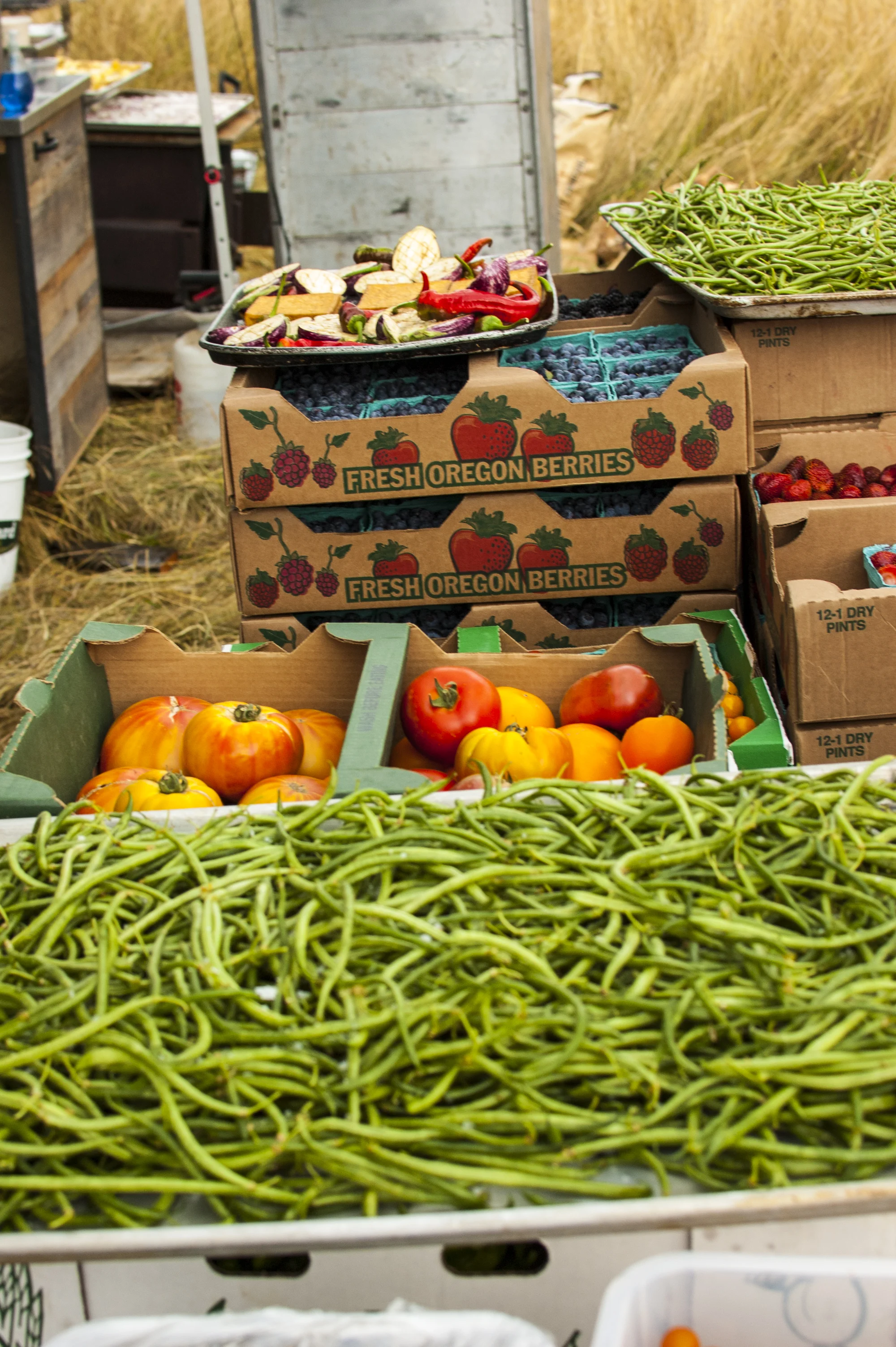 Oregon Produce at Big Table Farm in Gaston, OR