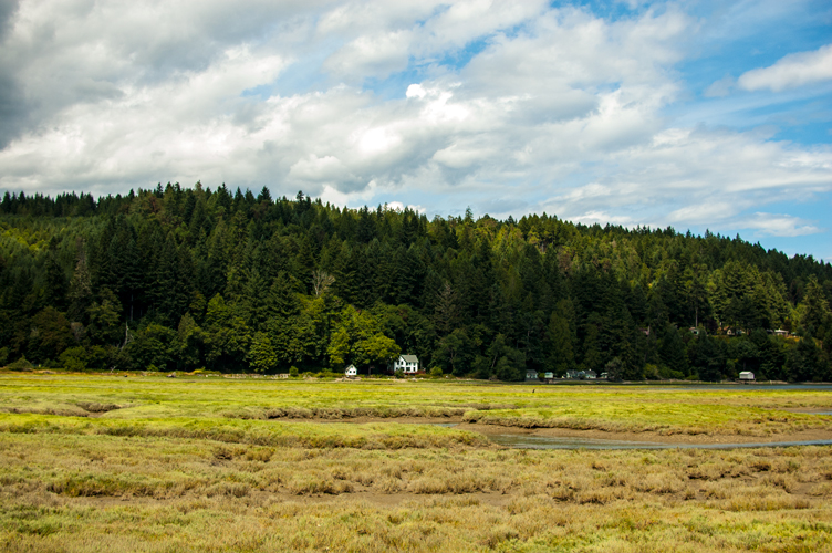 Estuary Landscape at Hama Hama Oysters in Lilliwaup, WA