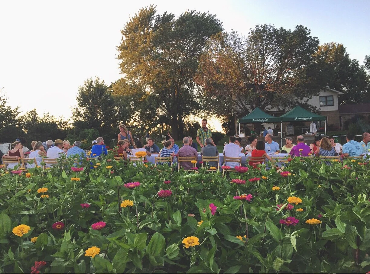 Zinnias at Grade A Garlic Farm // Iowa