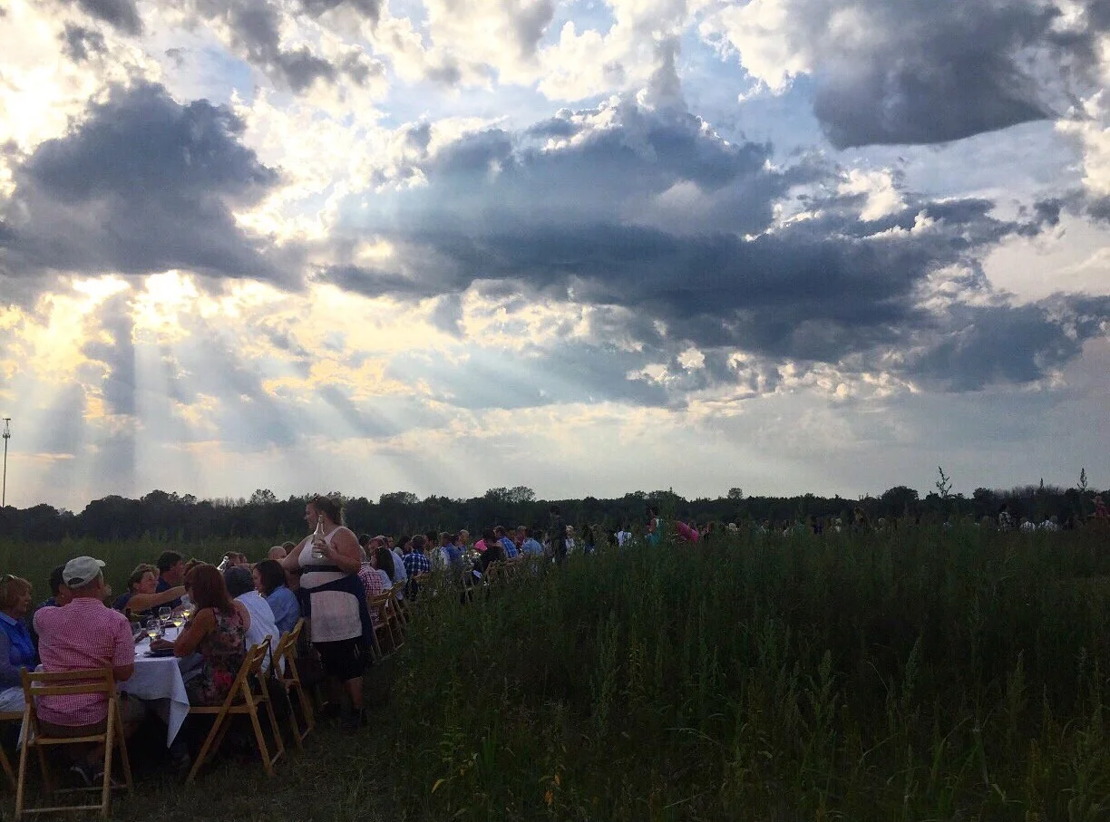 OITF Seedling Farm// South Haven, Michigan