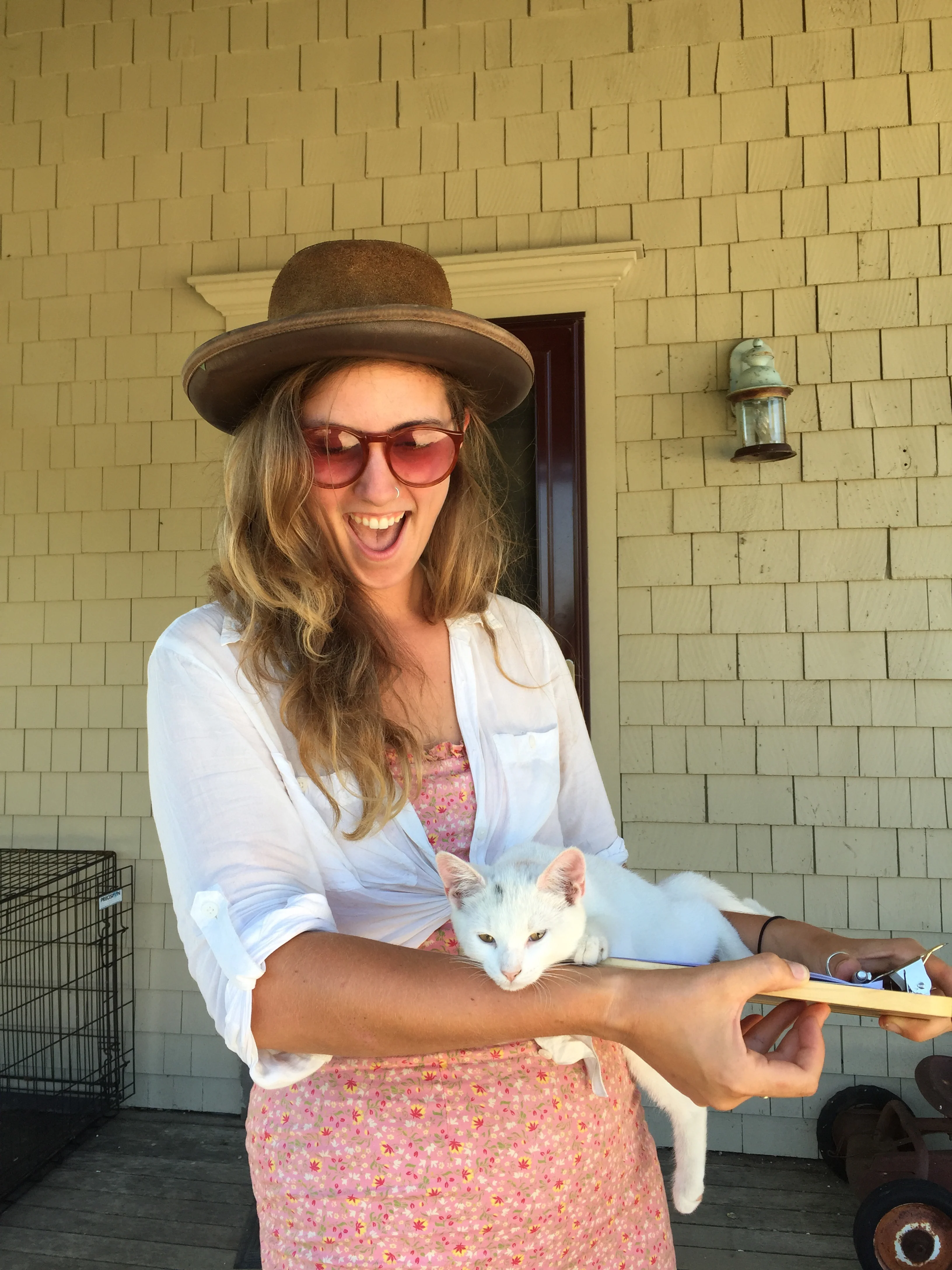 Kittens on Kittens, Misha & I at Wishing Stone Farm in Rhode Island