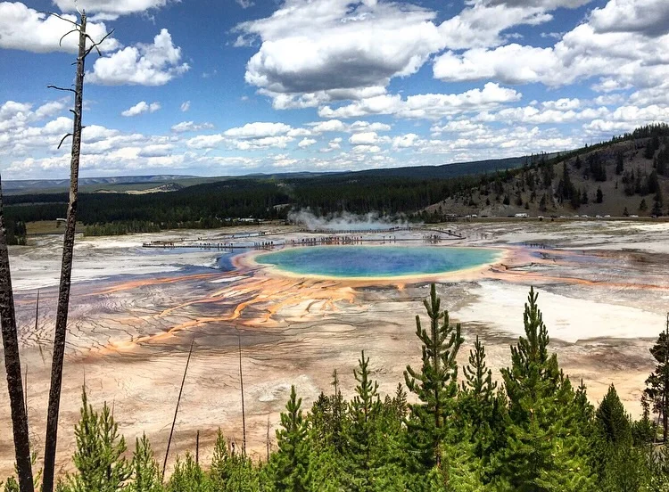 The Great Prismatic in Yellowstone National Park //Wyoming