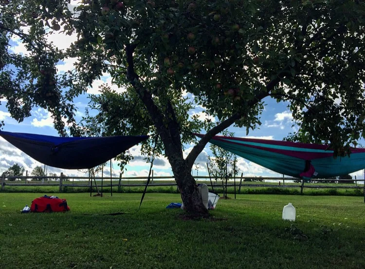Hammock Life //Sharon Springs, New York