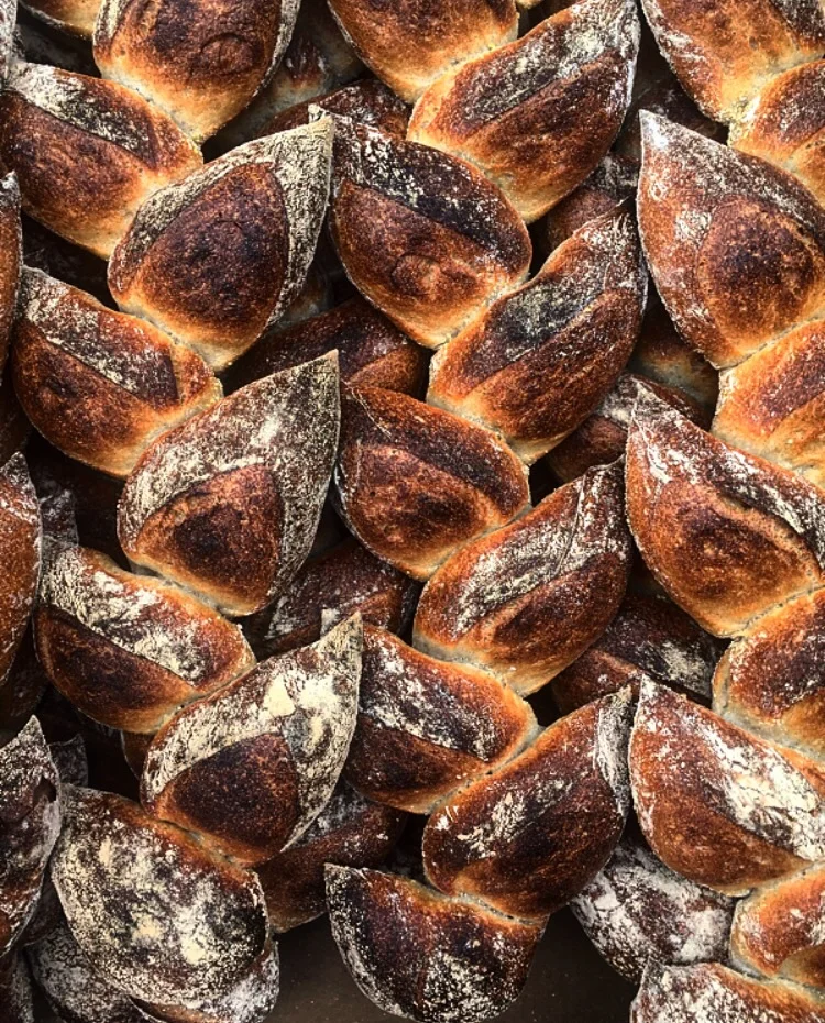 Pedja's absolutely perfect Bread // Boston, Massachusetts 