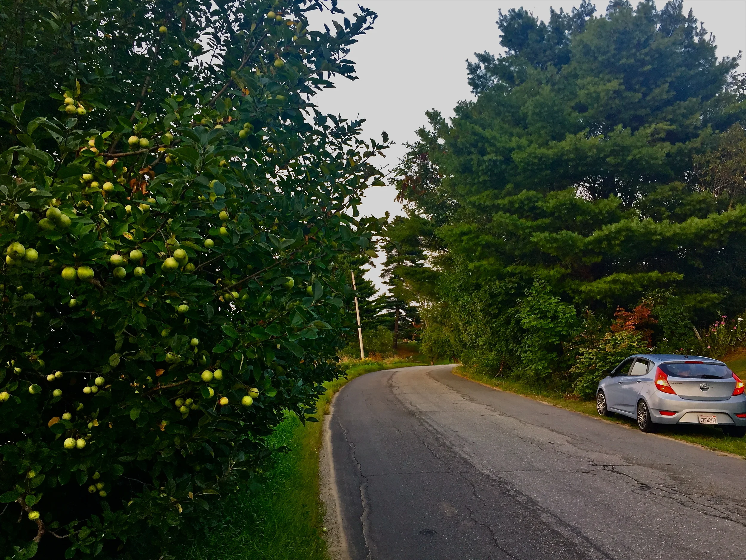  gathered roadside in Newcastle, Maine