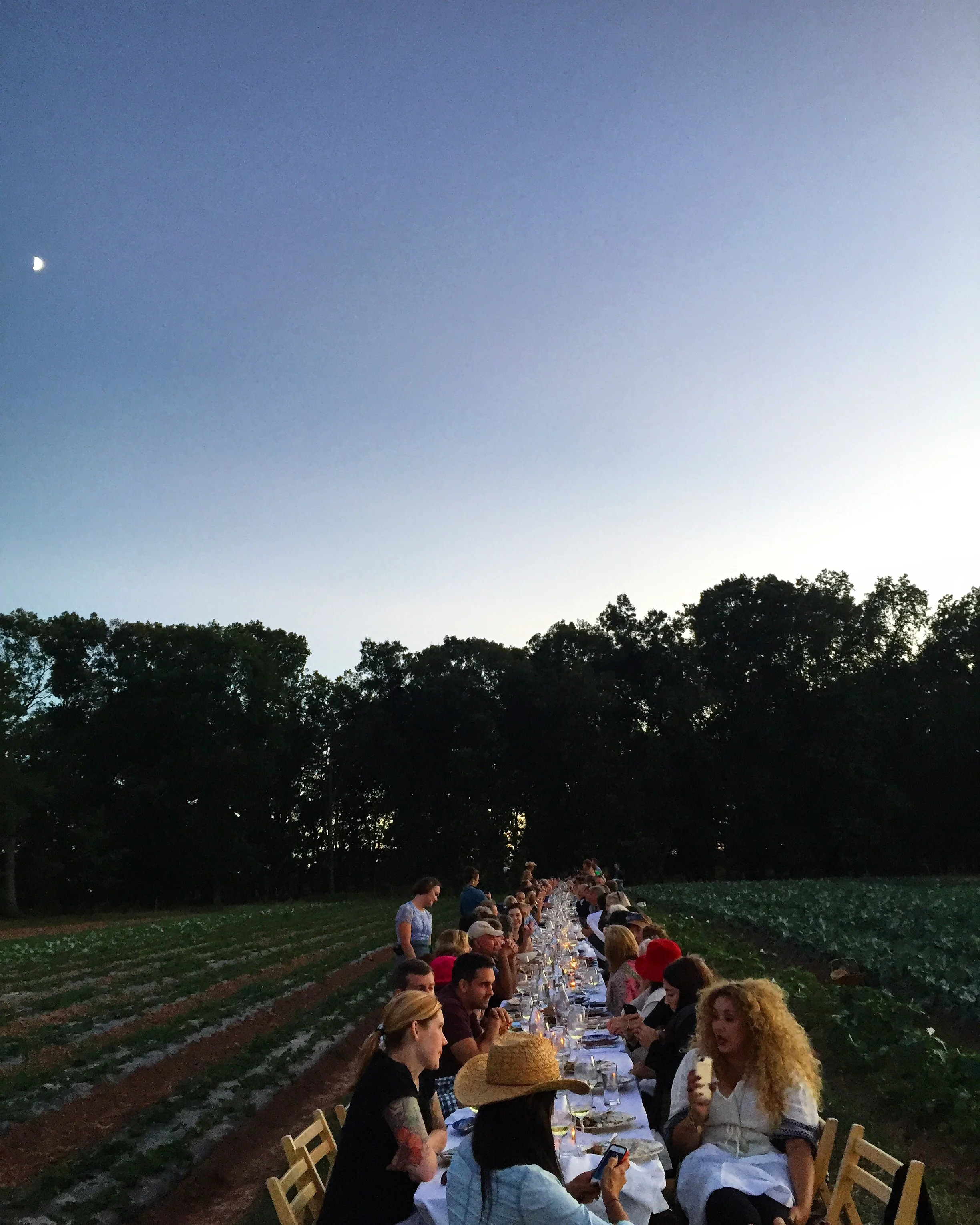 The Table at Blooming Glen// Perkaise, PA 