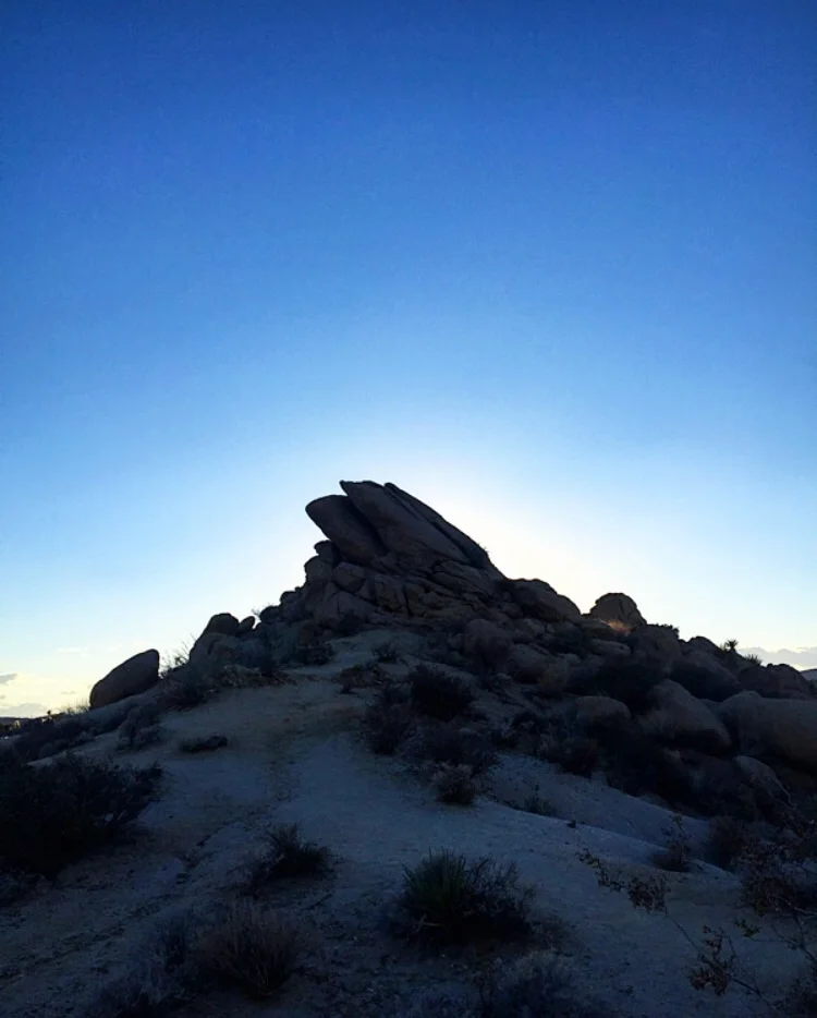 Last Light// Joshua Tree, California 