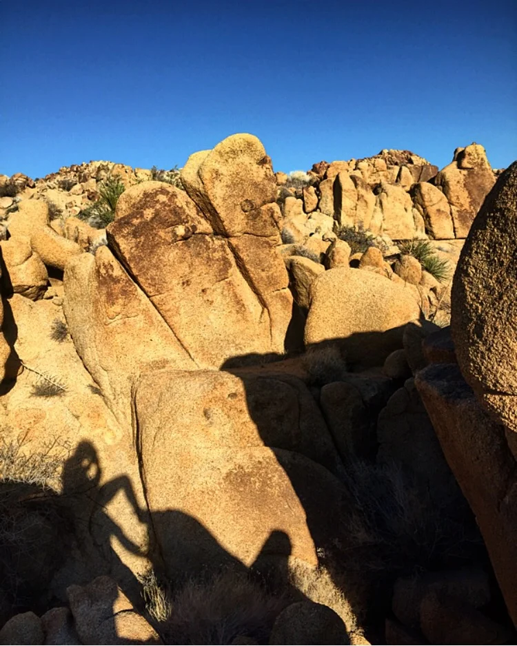 Shadows// Joshua Tree, California 