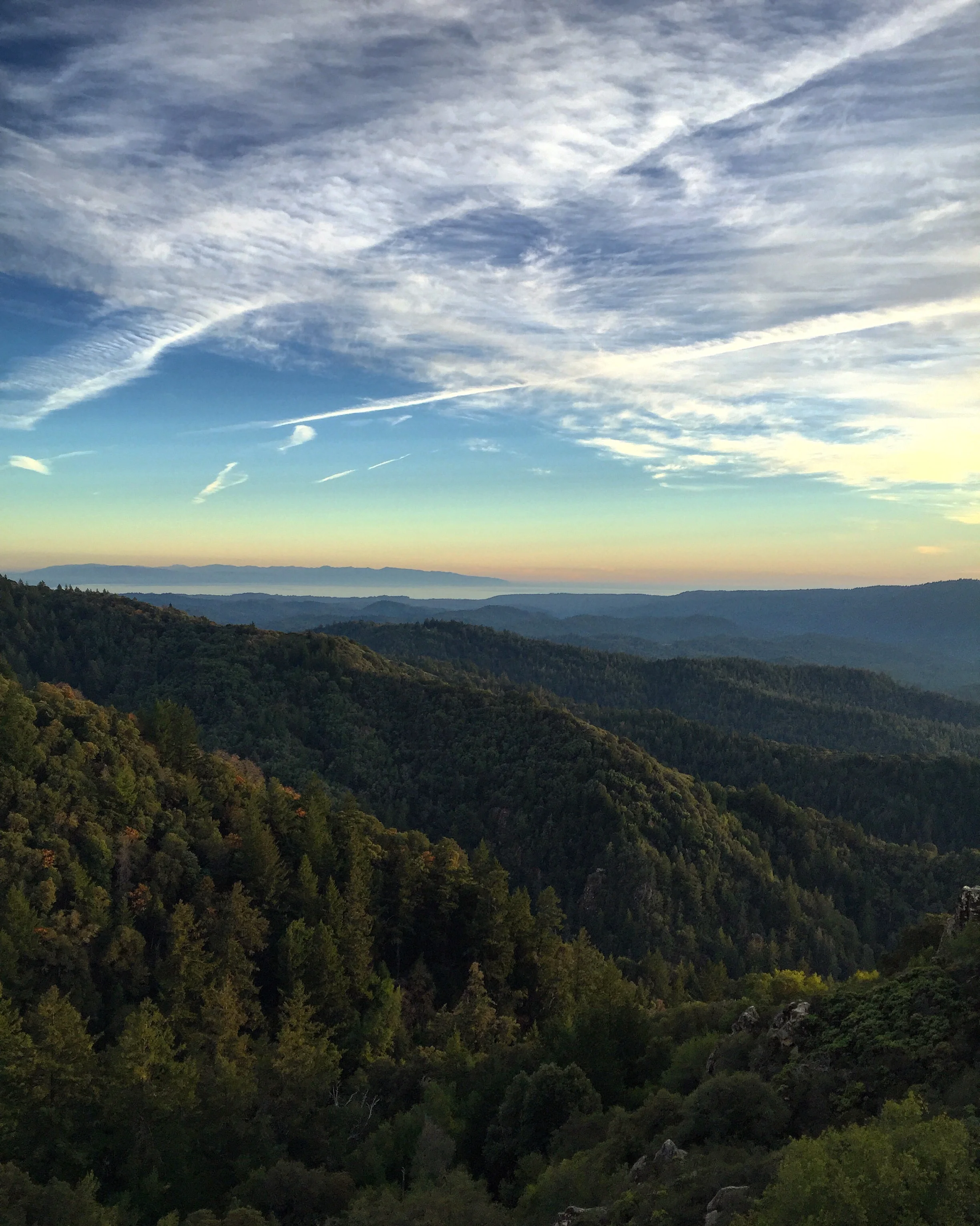 The San Lorenzo Kingdom//Santa Cruz Mountains, California