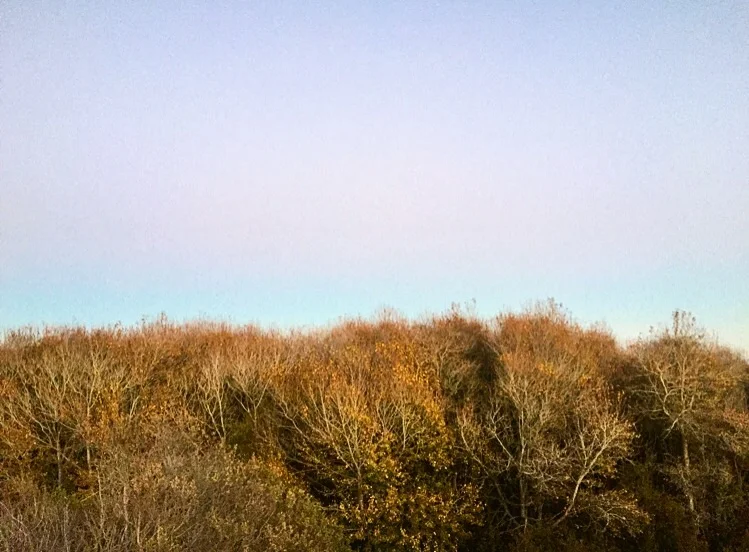 Sun Shift// Santa Cruz, California 