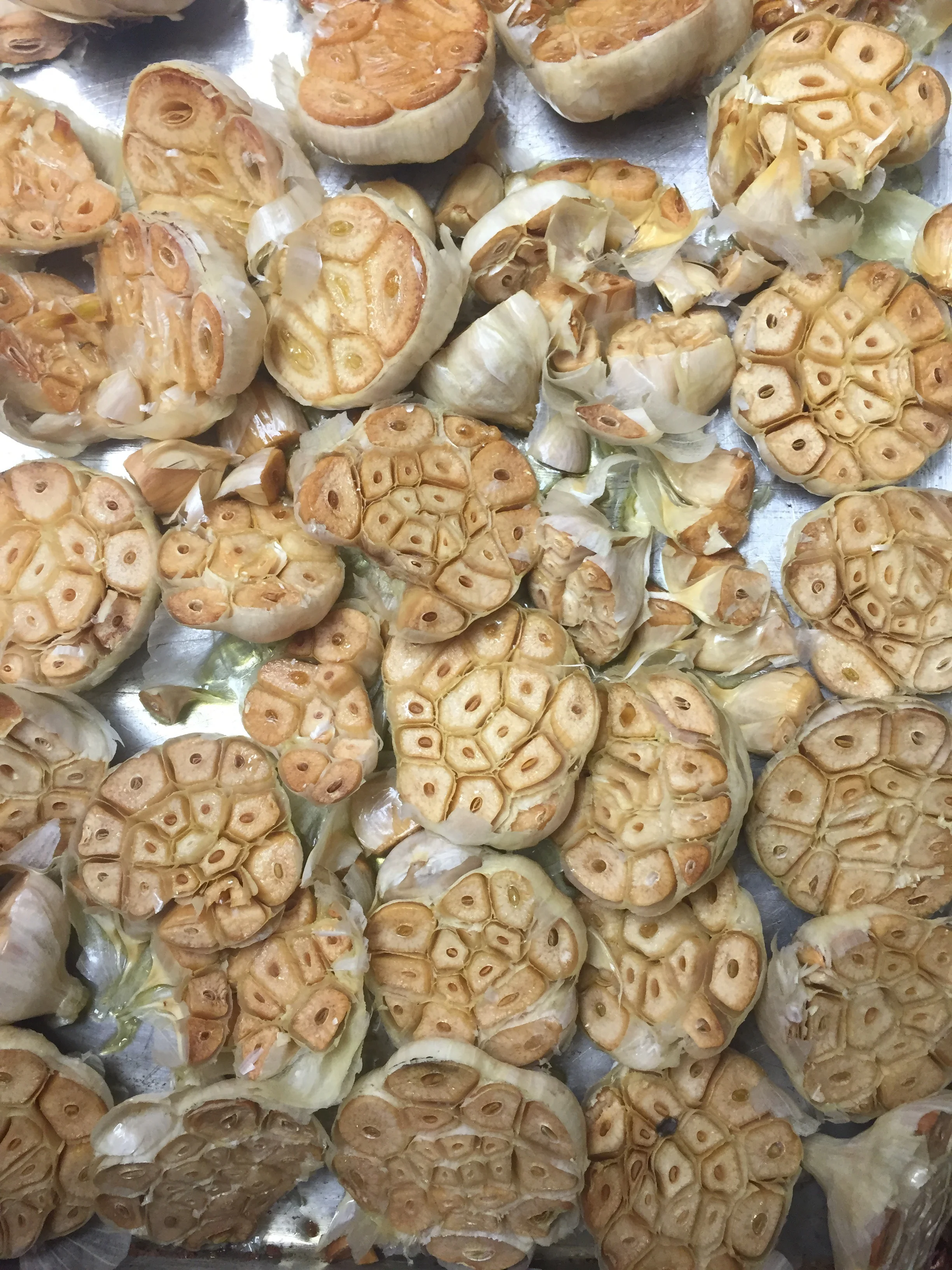Roasted Garlic// Plumsteadville, Pennsylvania 