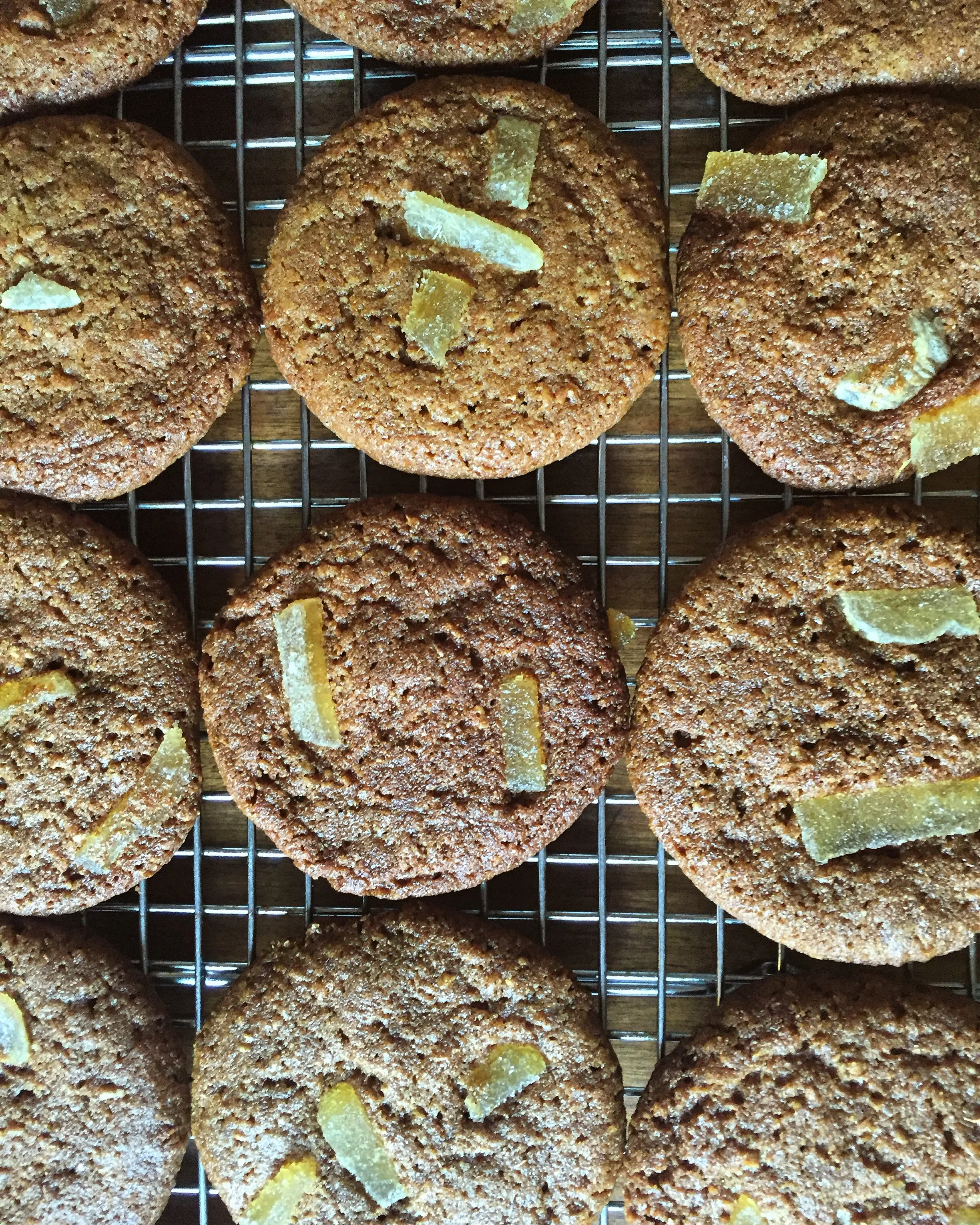Gingersnap Perfection// Upper Black Eddy, Pennsylvania 