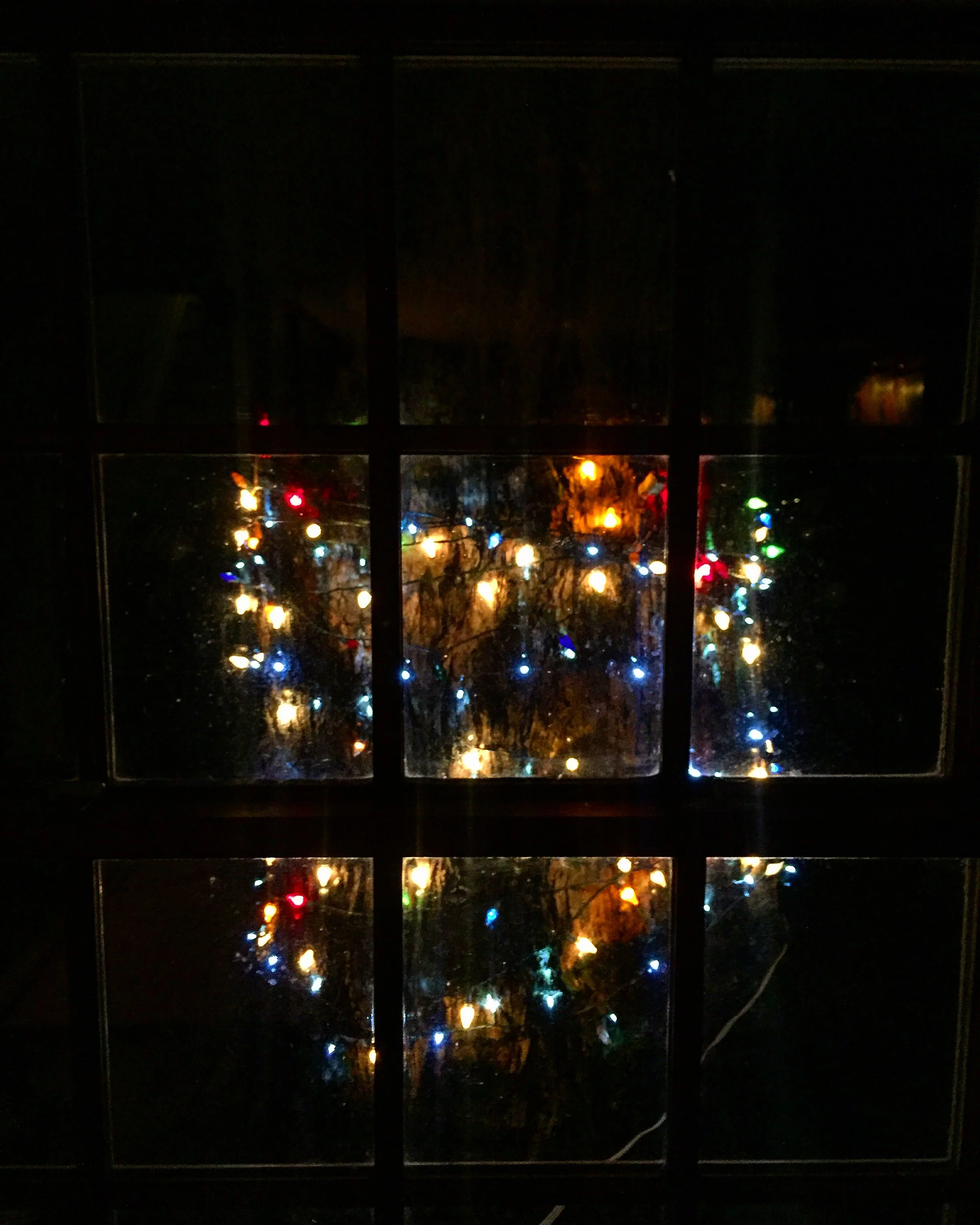 Tree Lights// Upper Black Eddy,Pennsylvania 