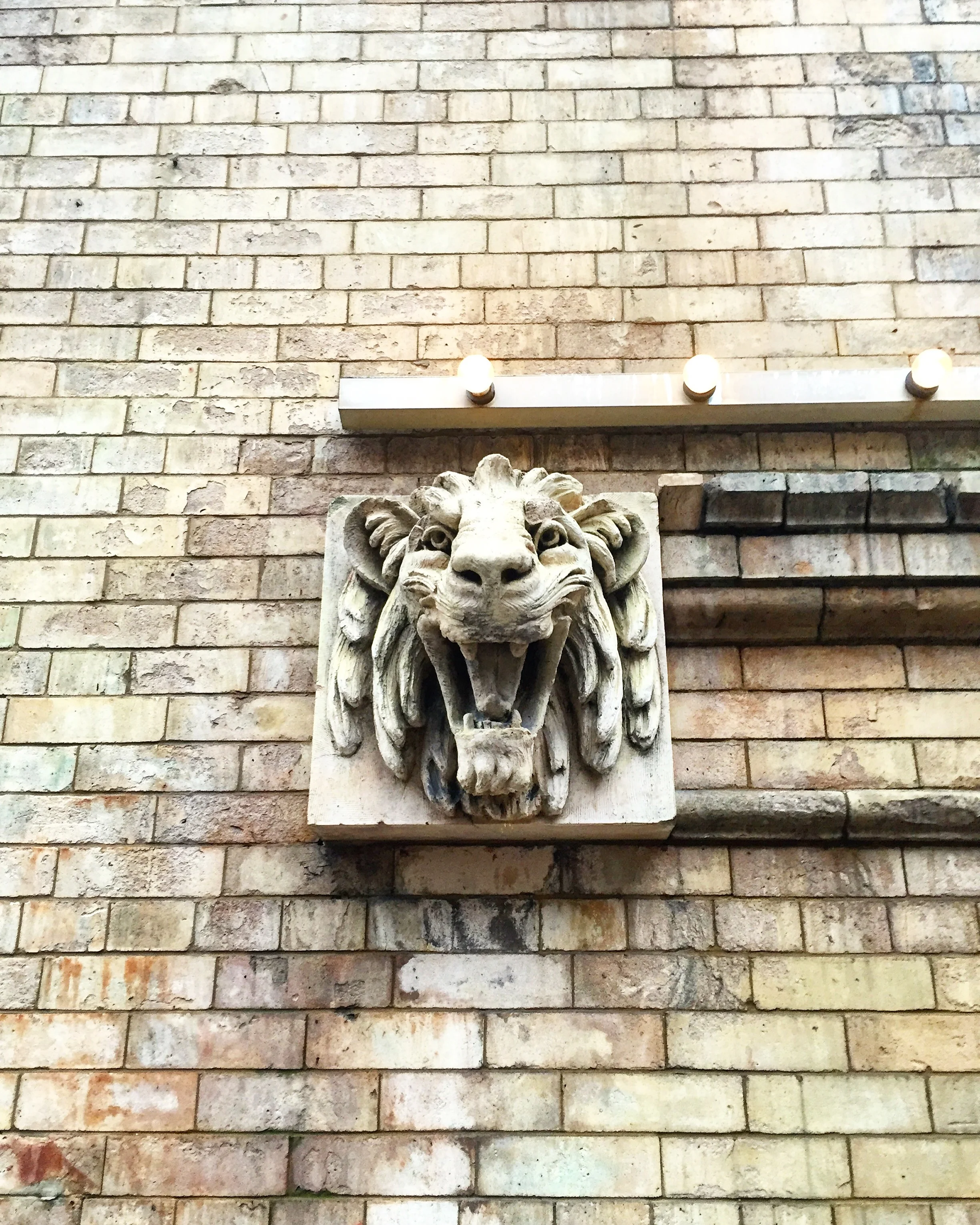 Lions// Philadelphia, Pennsylvania 