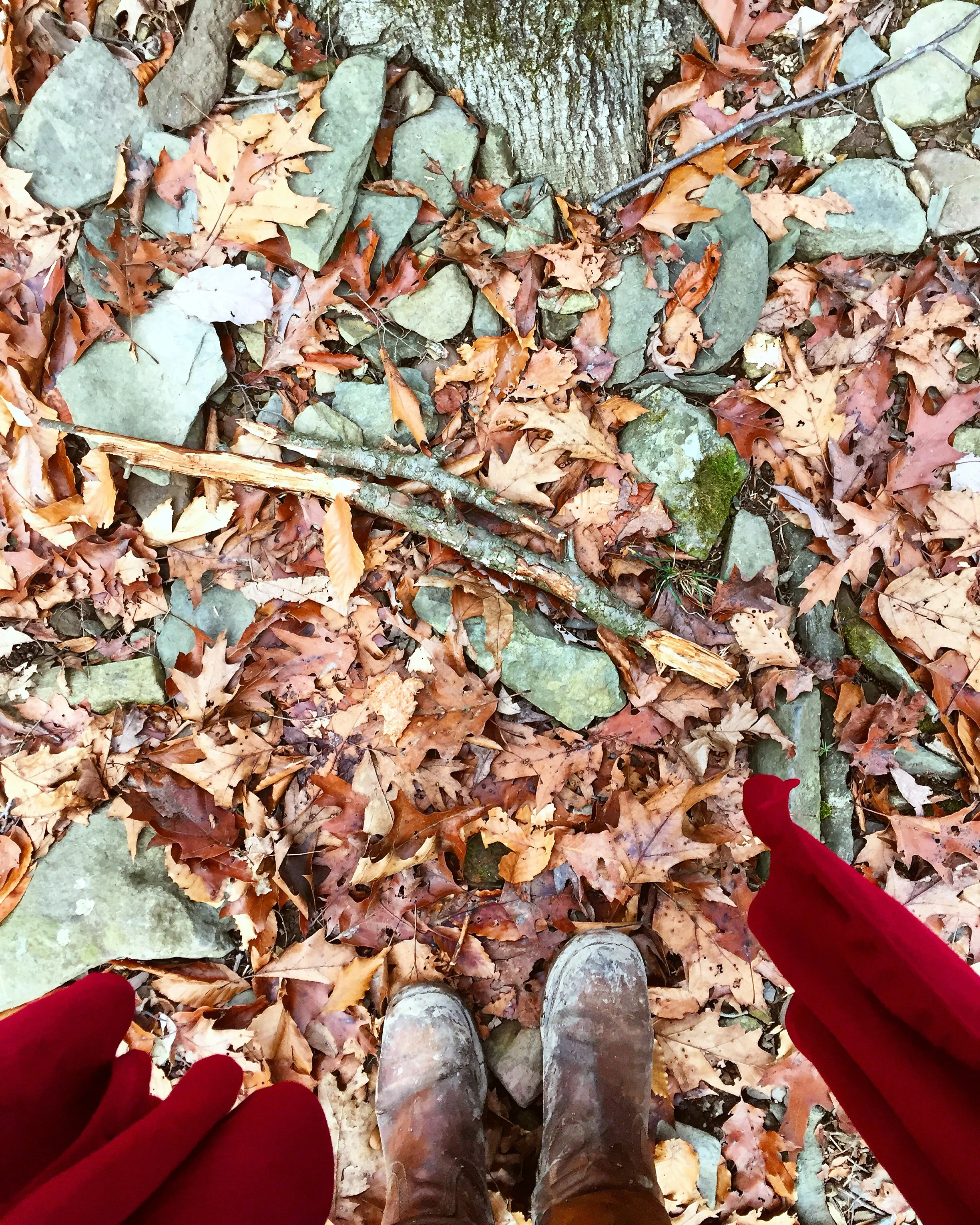 Little Red Riding Hood// Pipersville, Pennsylvania 