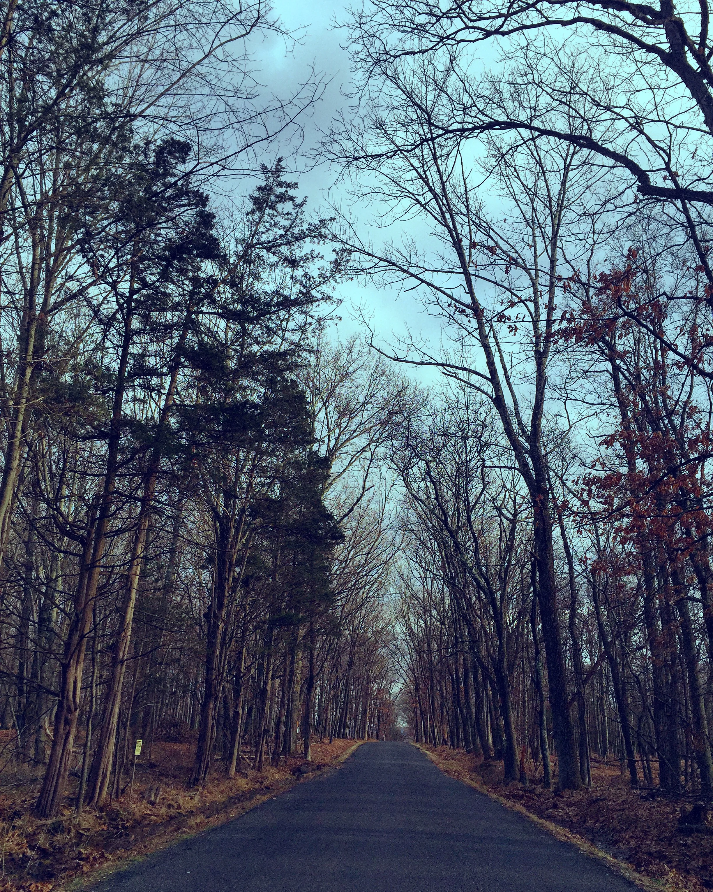 High Rocks// Pipersville, Pennsylvania 