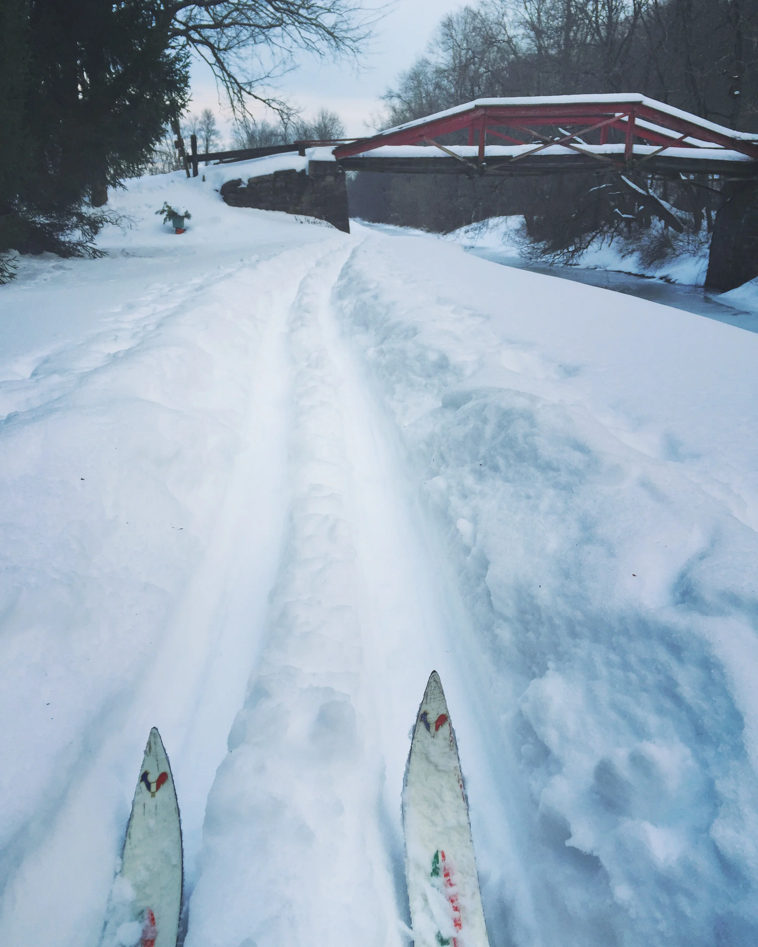 Smooth Trails// Upper Black Eddy, Pensylvania
