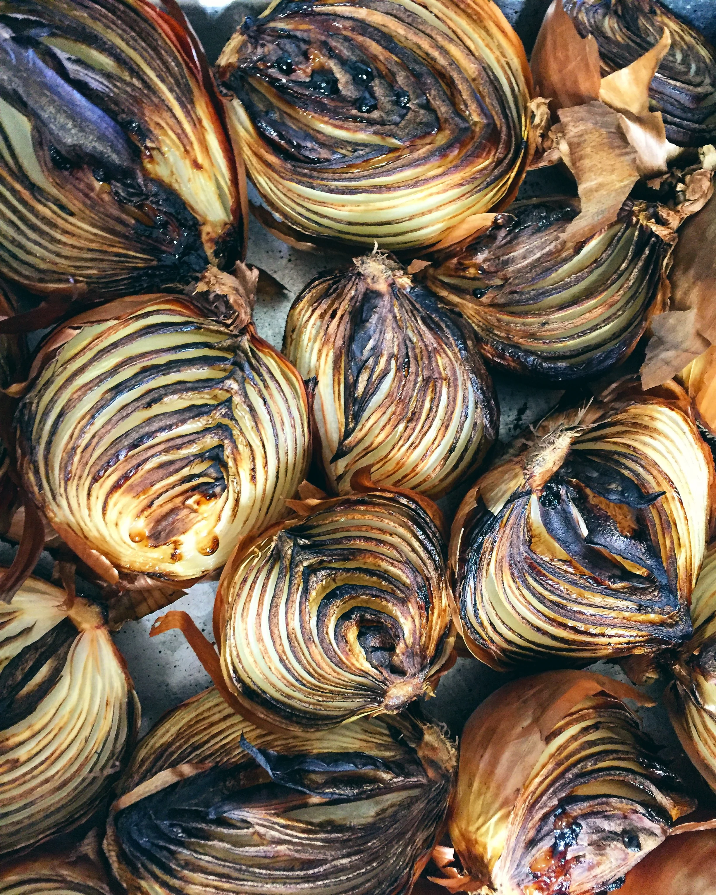 My Favorite Smell// Frenchtown, New Jersey