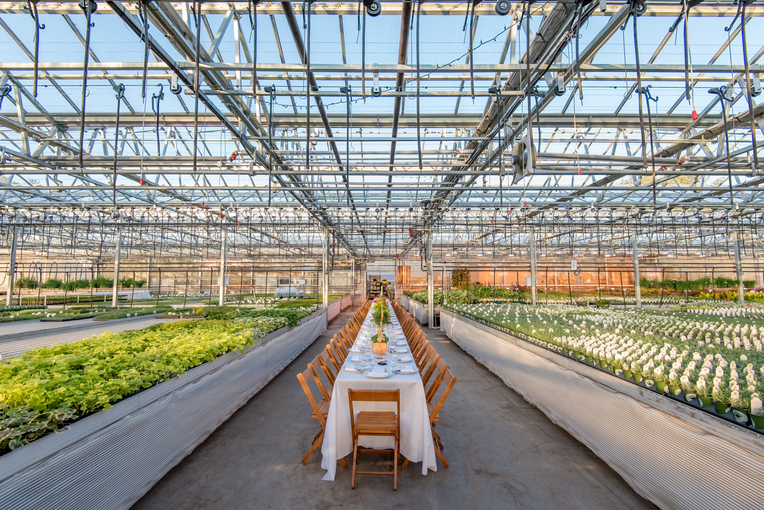 The Greenhouses at Peace Tree Farm//Photo by Rob Cardillo