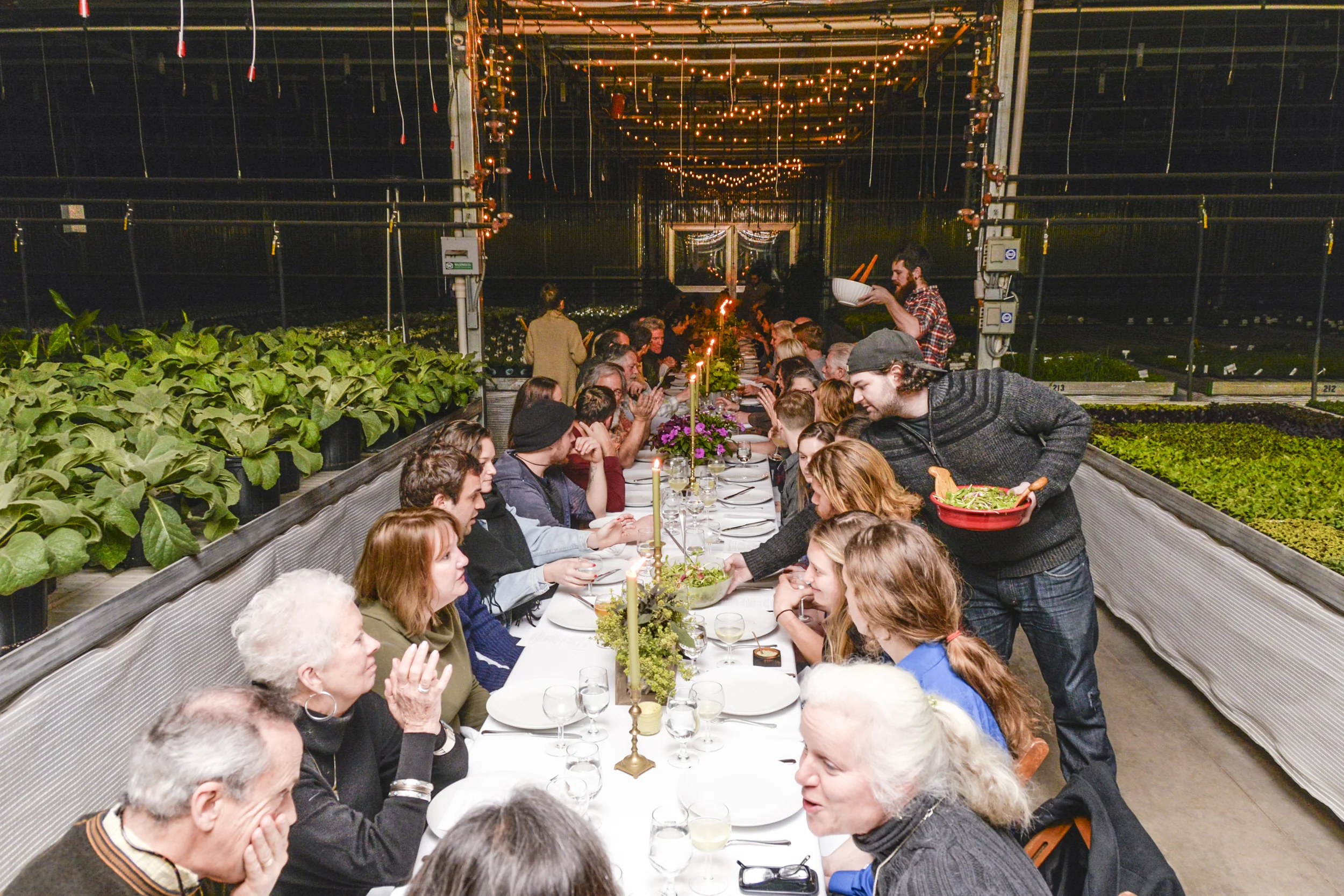 Dinner is served// Photo by James Bassett-Cann