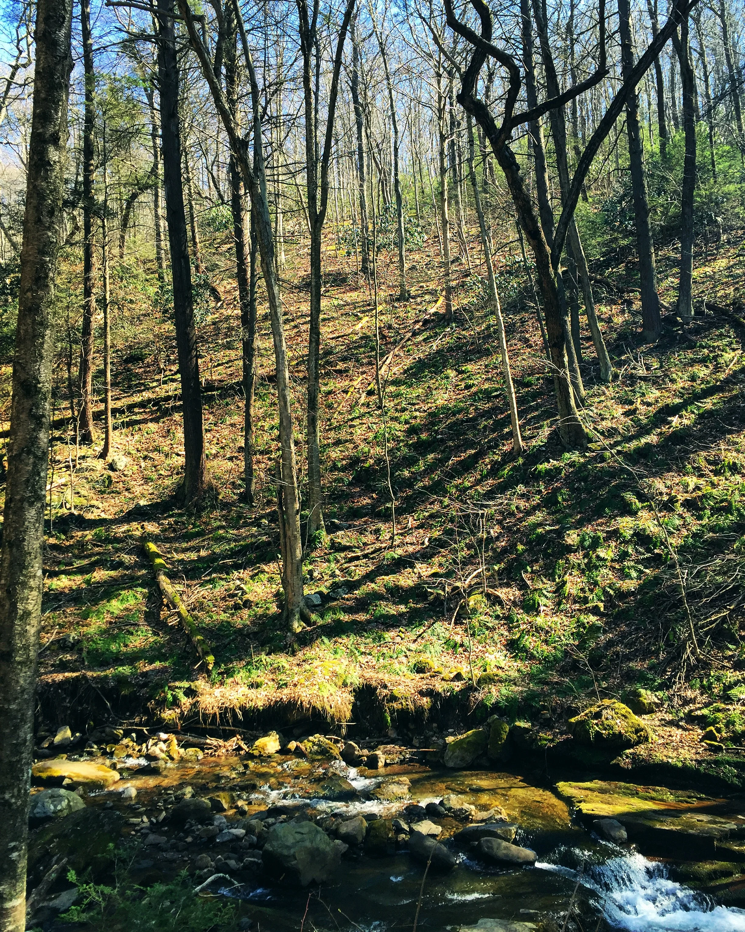 Delaware Water Gap// Bushkill, Pennsylvania