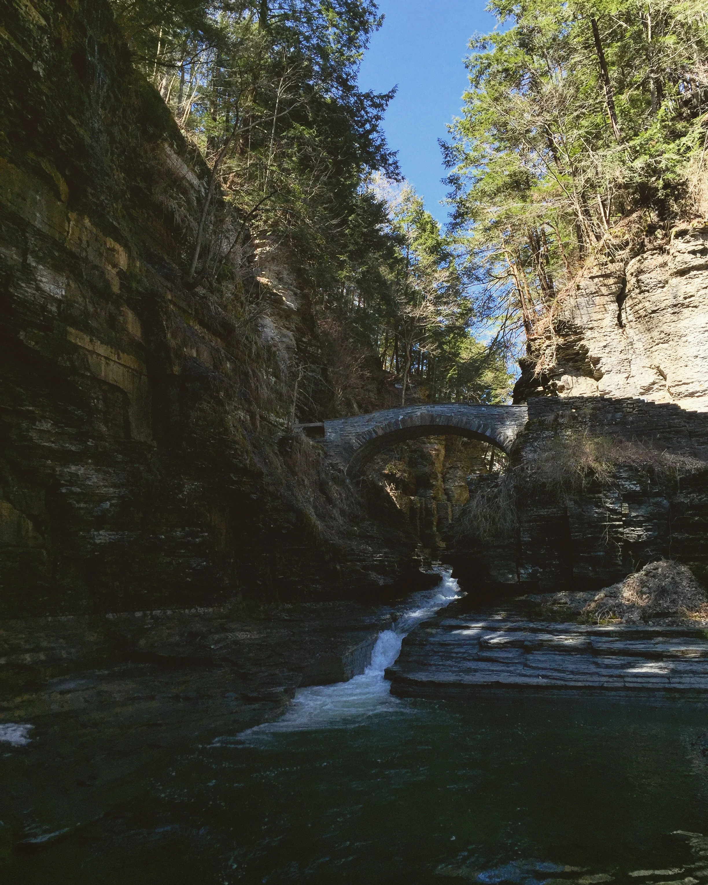 Robert H. Treman State Park// Ithaca, New York